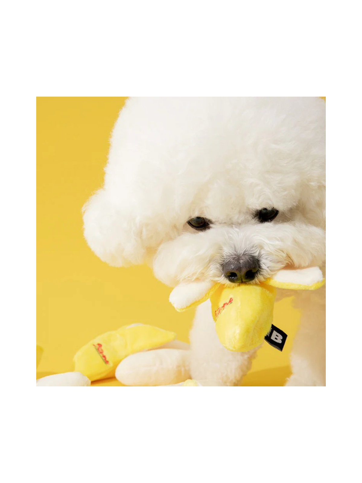 Banana Nosework Toy