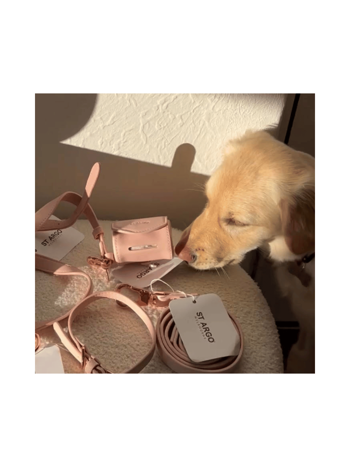 Poop Bag Holder – Marshmallow