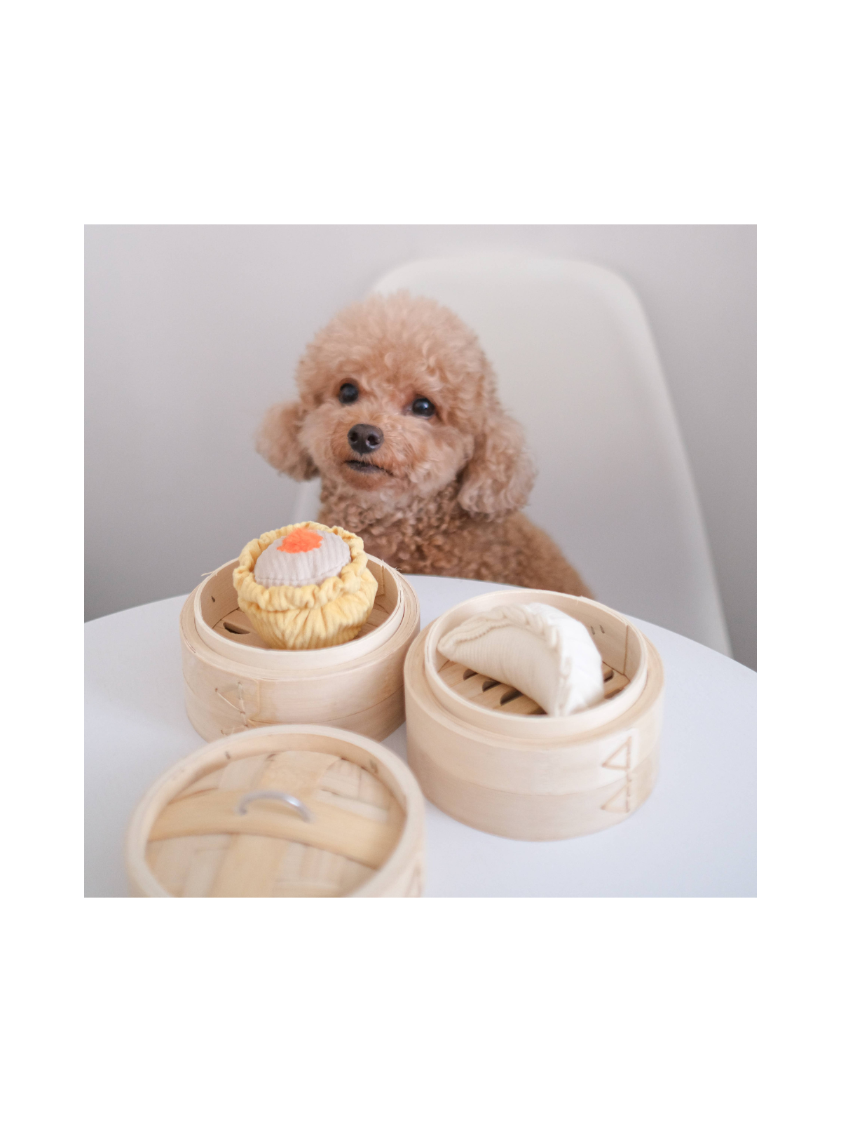 Dim Sum Pop Enrichment Toy Set