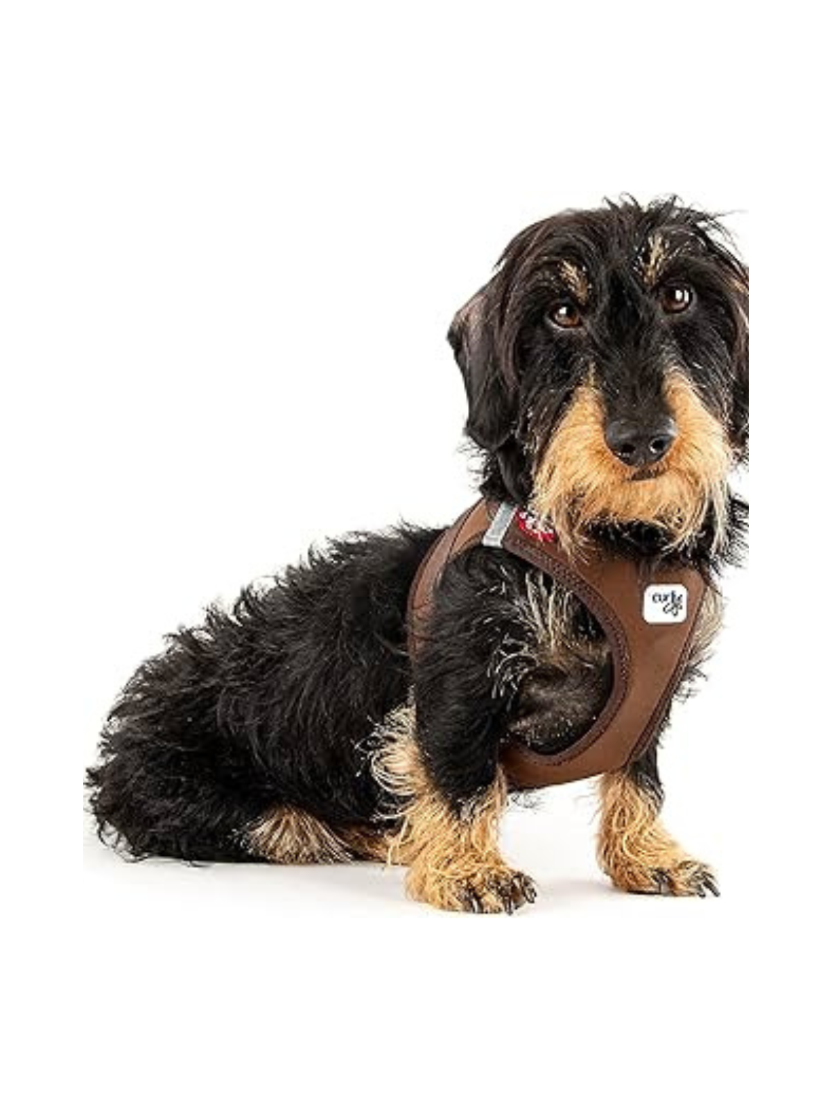 Softshell Vest Harness – Brown
