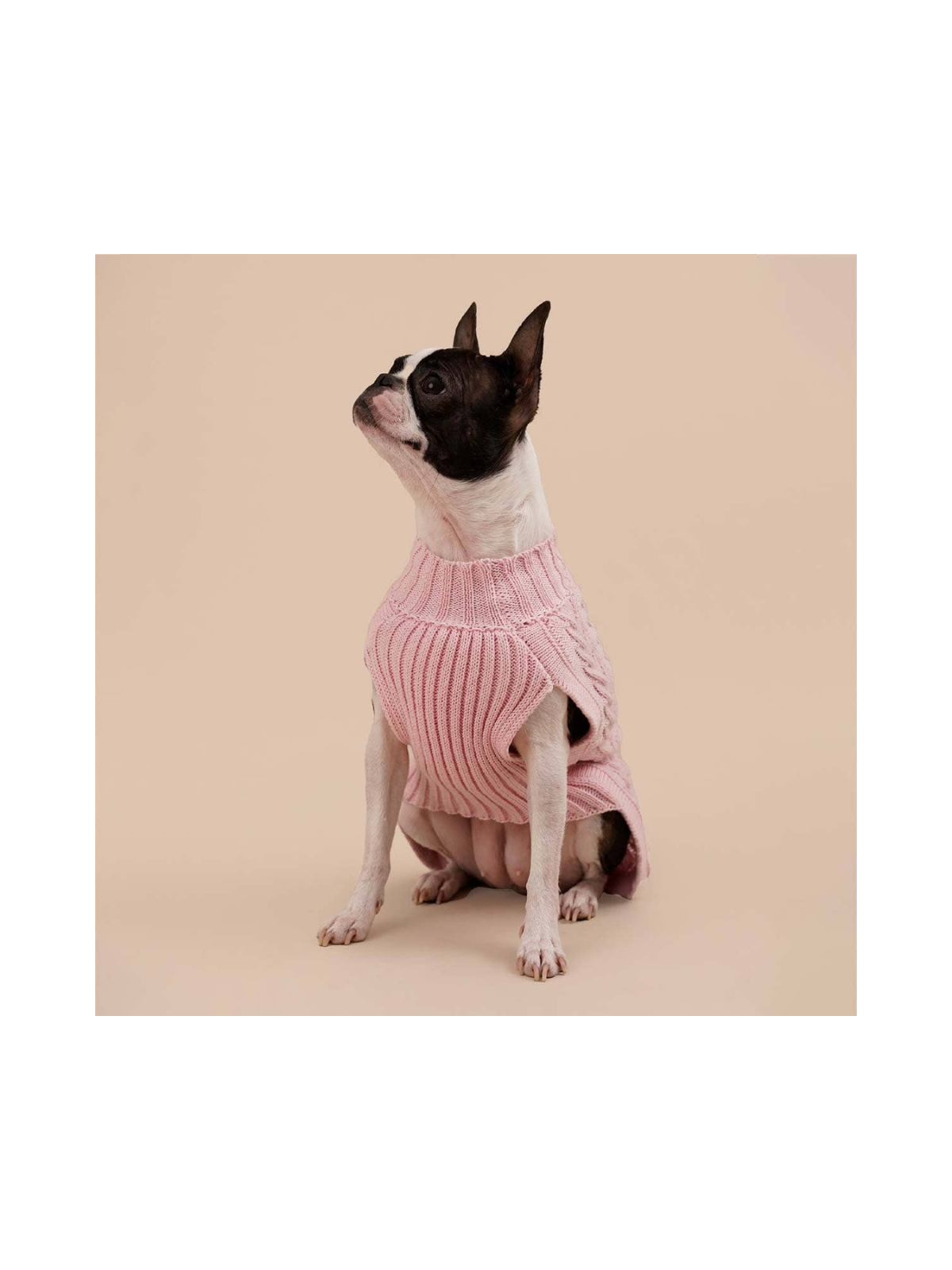 Cotton Cable Knit Dog Sweater – Soft Pink