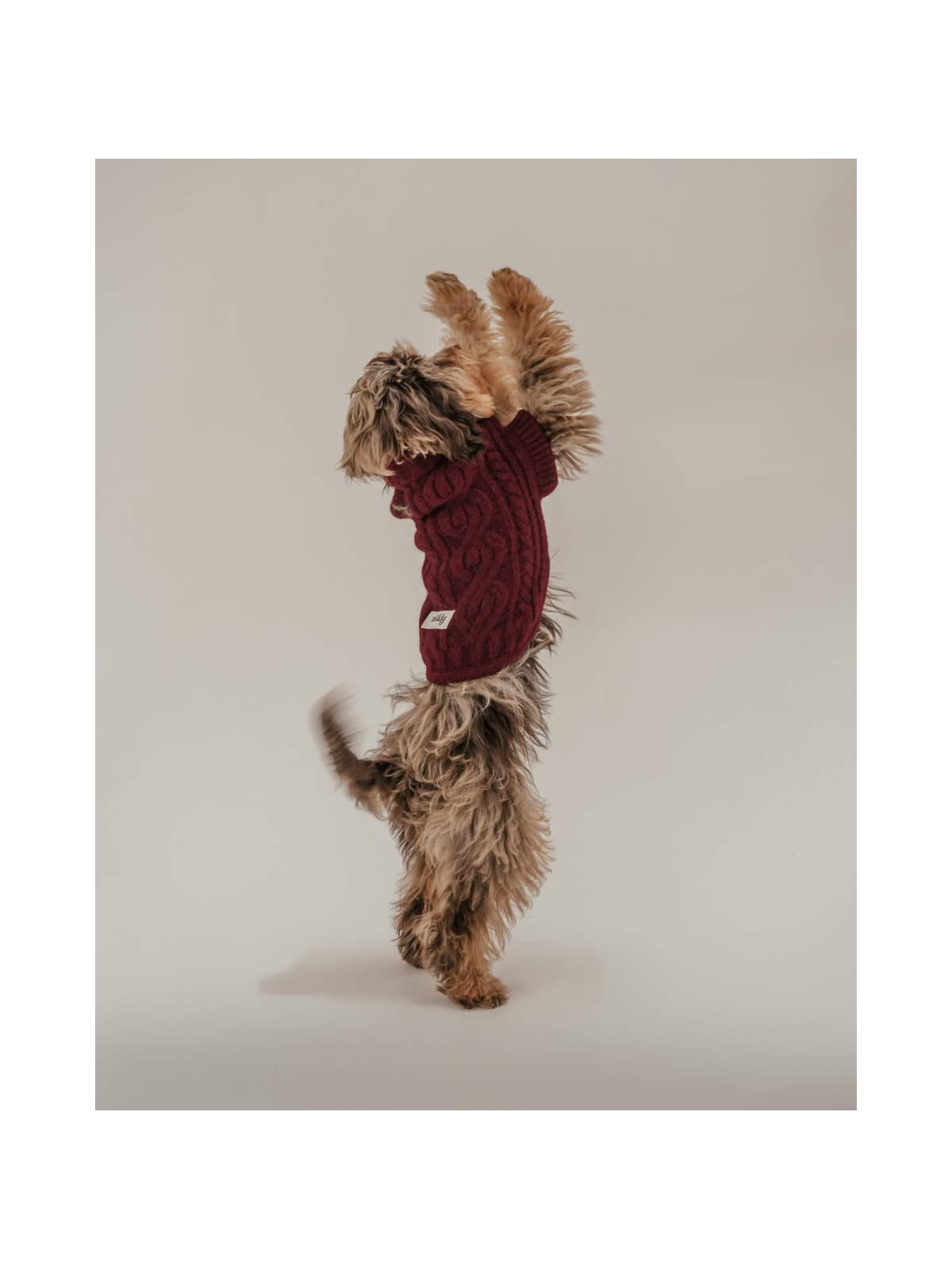 The Capsule Cable Knit Dog Sweater – Bordeaux