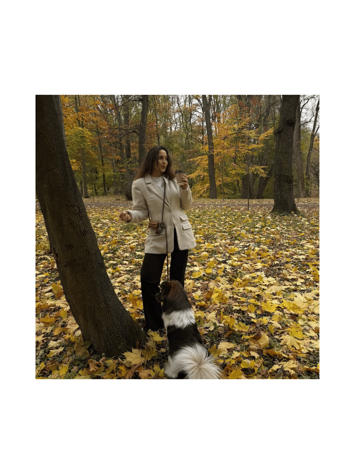 Handsfree Leash – Cocoa