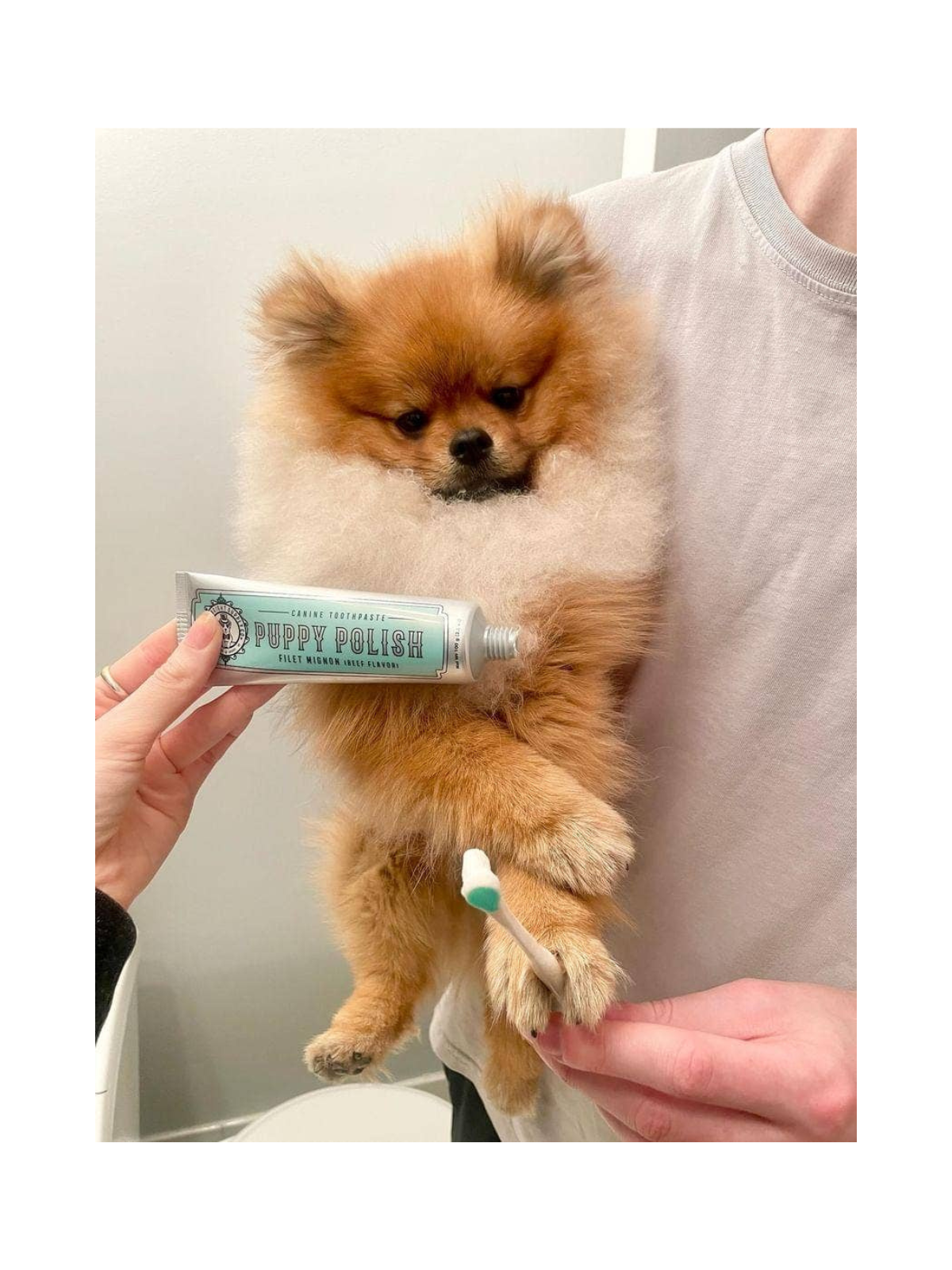 Puppy Polish Toothpaste – Filet Mignon