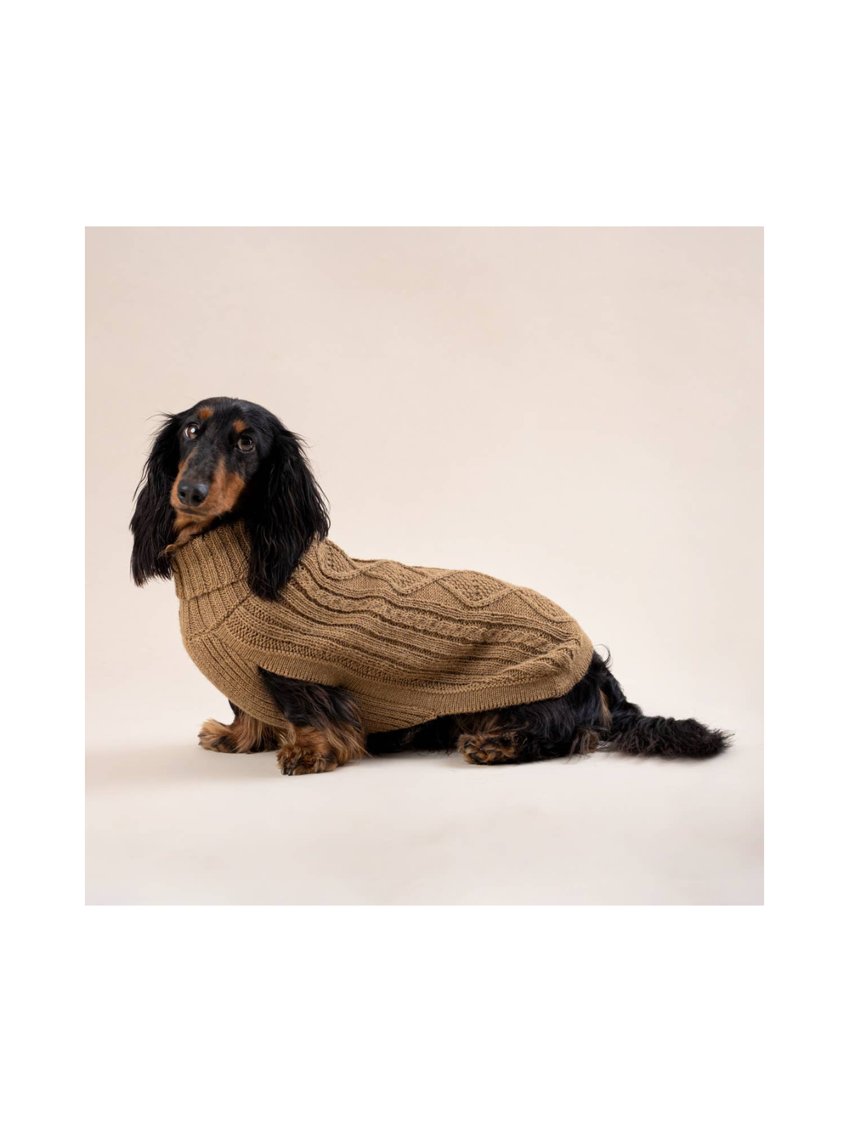 Aran Alpaca Dog Sweater – Camel