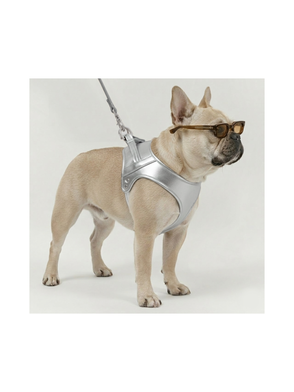 Churchill Harness – Silver