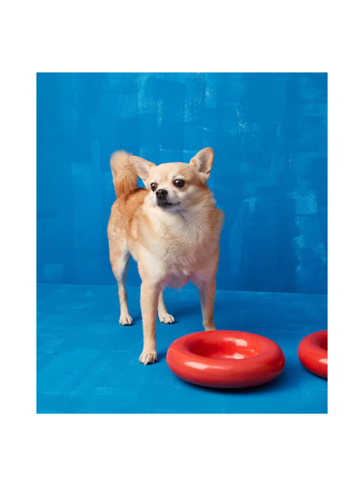 Ceramic Dog Bowl – Red