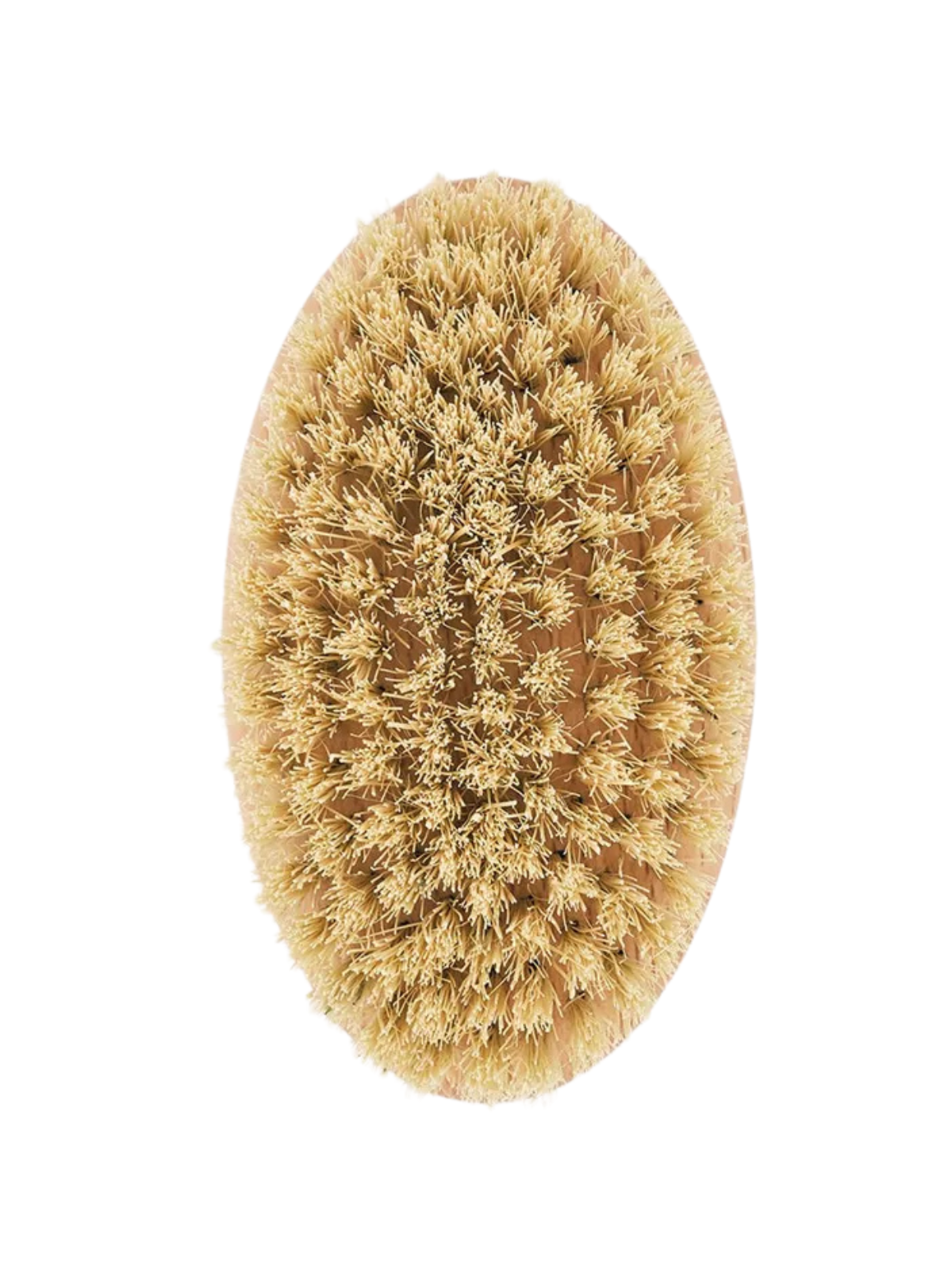 Teo Short Haired Dog Brush