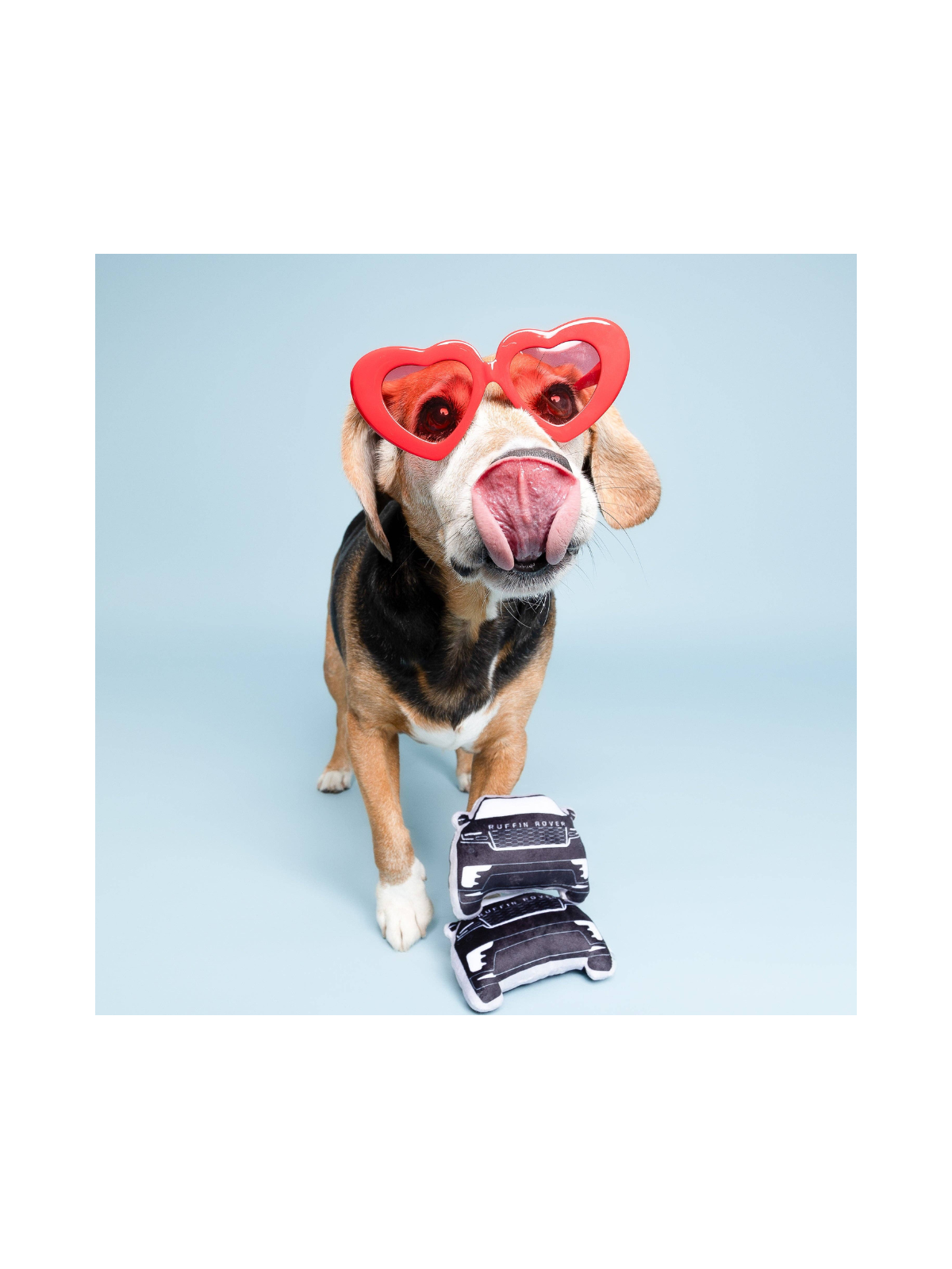 Ruffin Rover Dog Toy