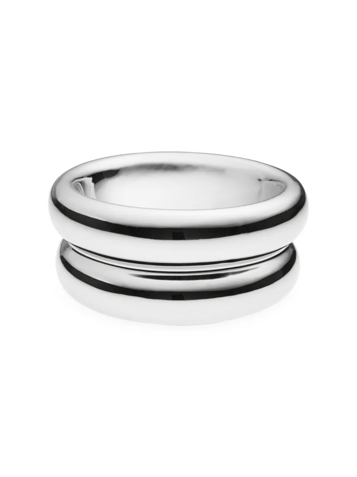 Chrome Elevated Halo Pet Bowl