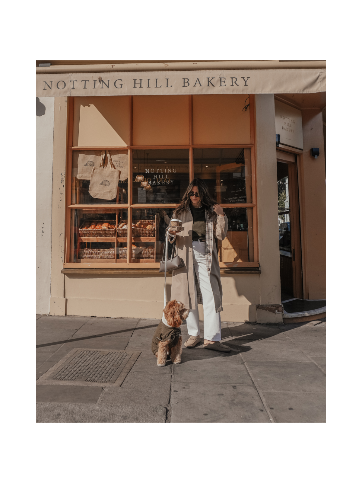 The Capsule Quilted Dog Coat – Forest Green