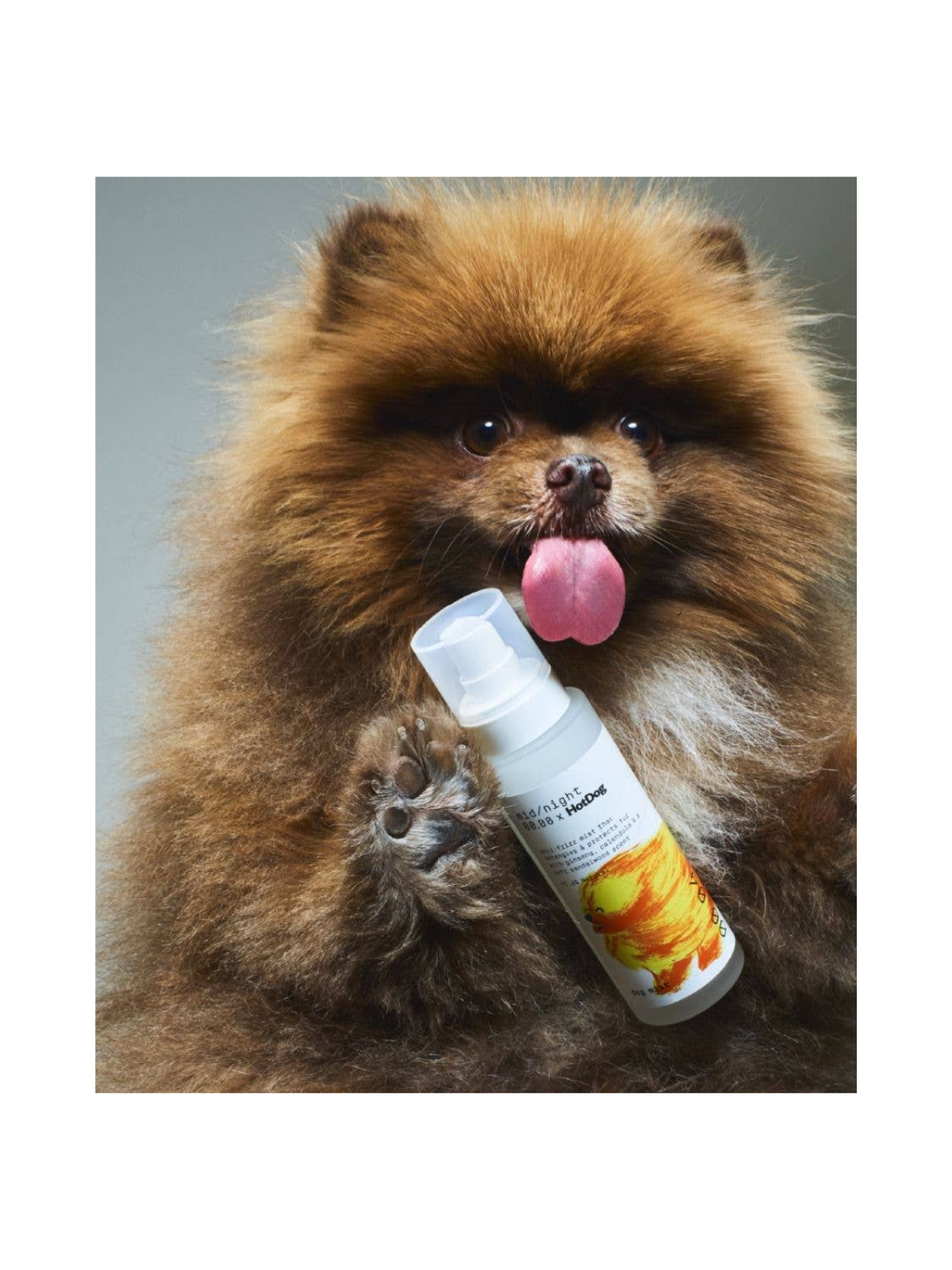 Dog Mist – Mid/night 00.00