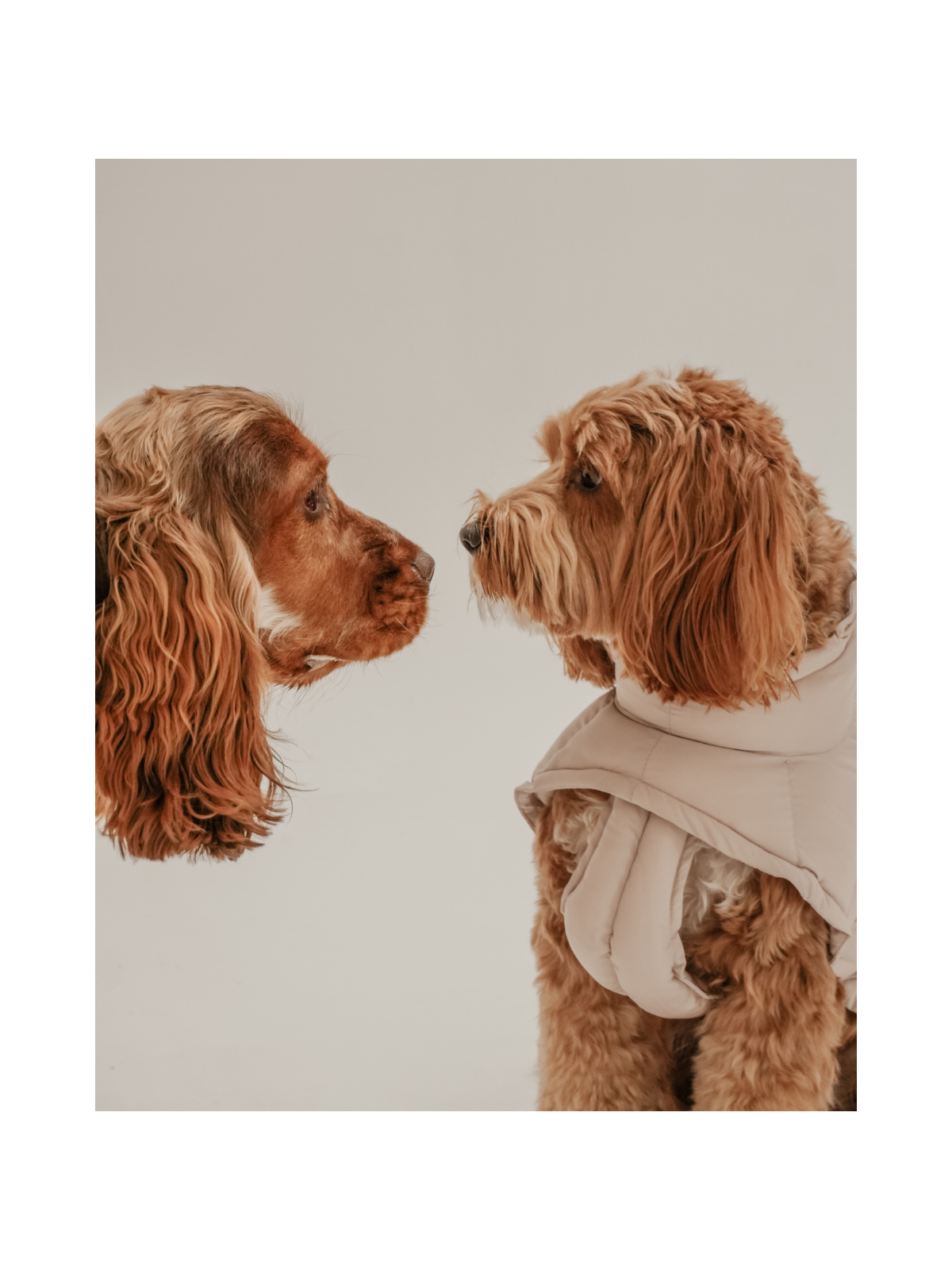 The Capsule Puffer Dog Coat – Hazelnut