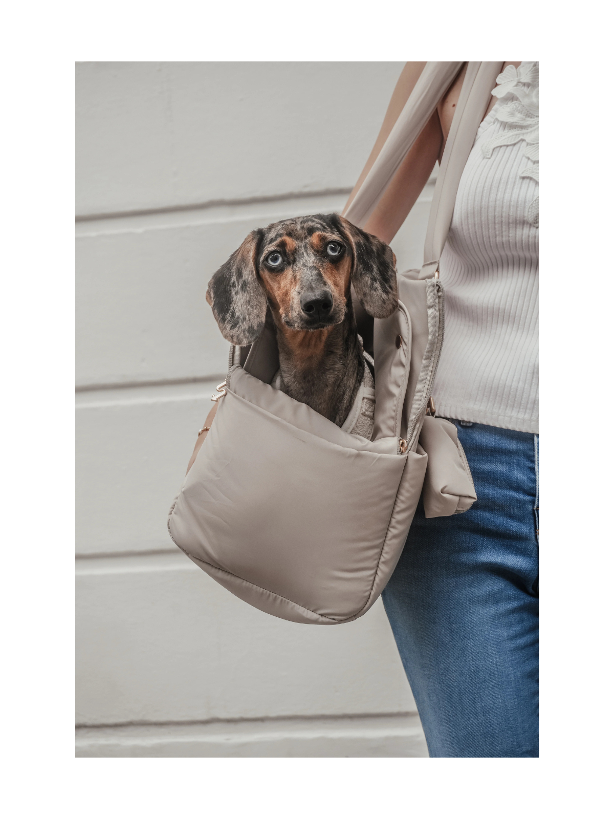 Puffer Dog Carrier – Hazelnut