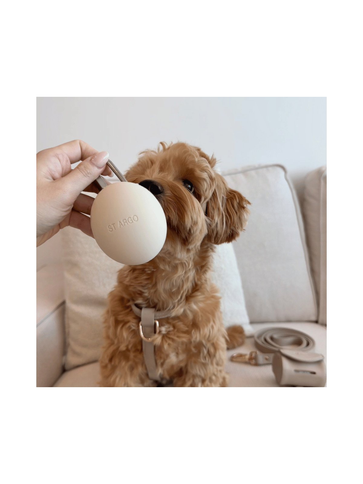 Treat Pouch – Cream