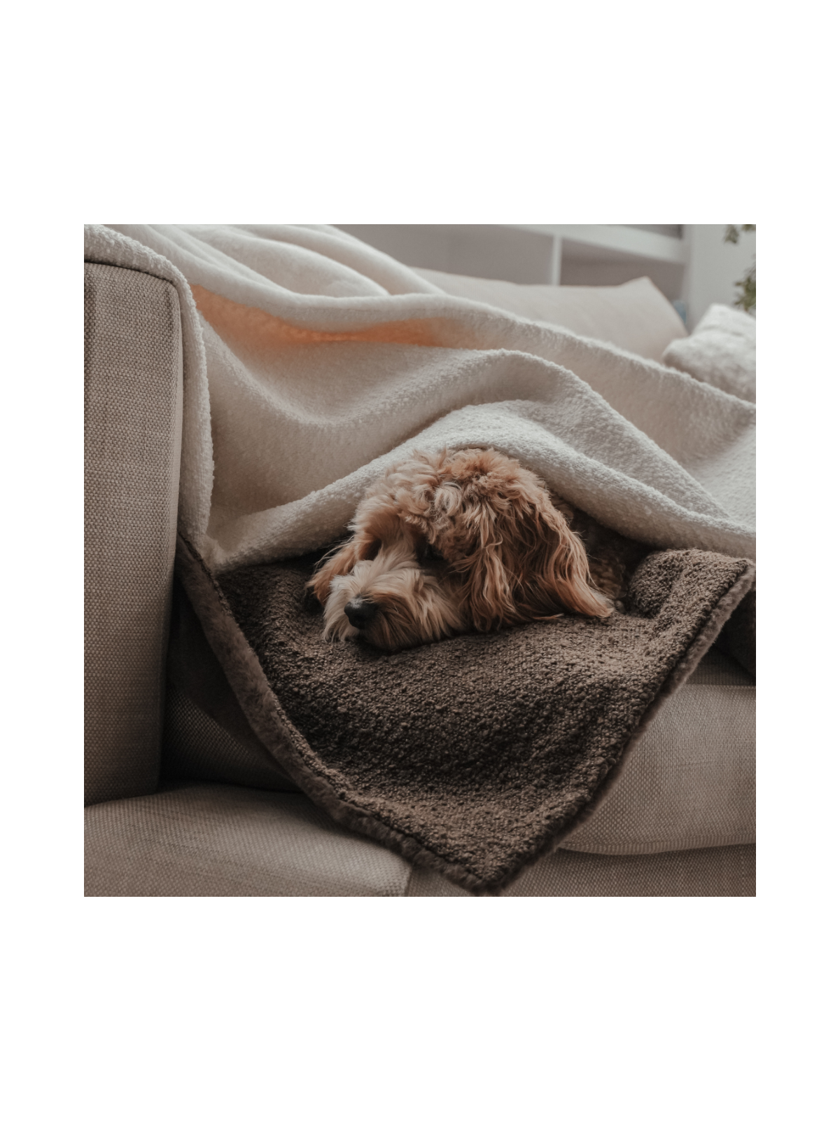 The Bouclé Blanket - Marshmallow