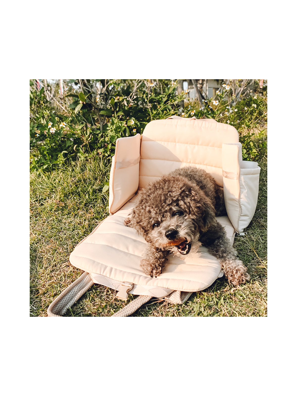 Everywhere Convertible Tote Bag – Sand