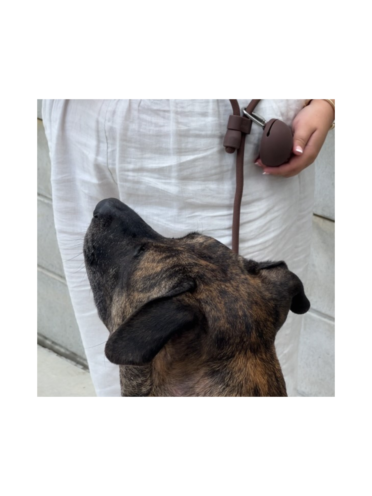 Treat Pouch – Cocoa