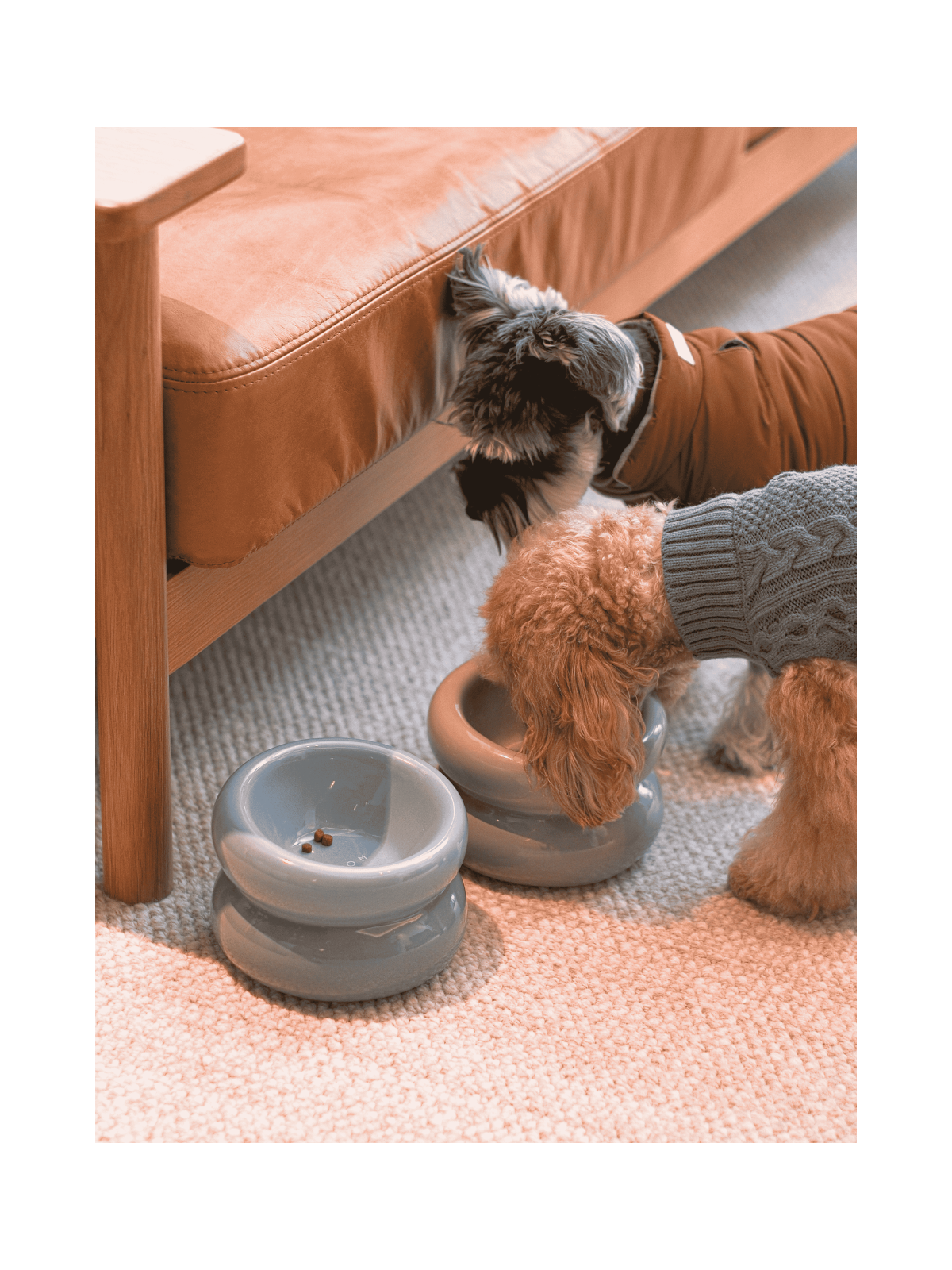 Soufflé Pet Bowl - Frozen Blue