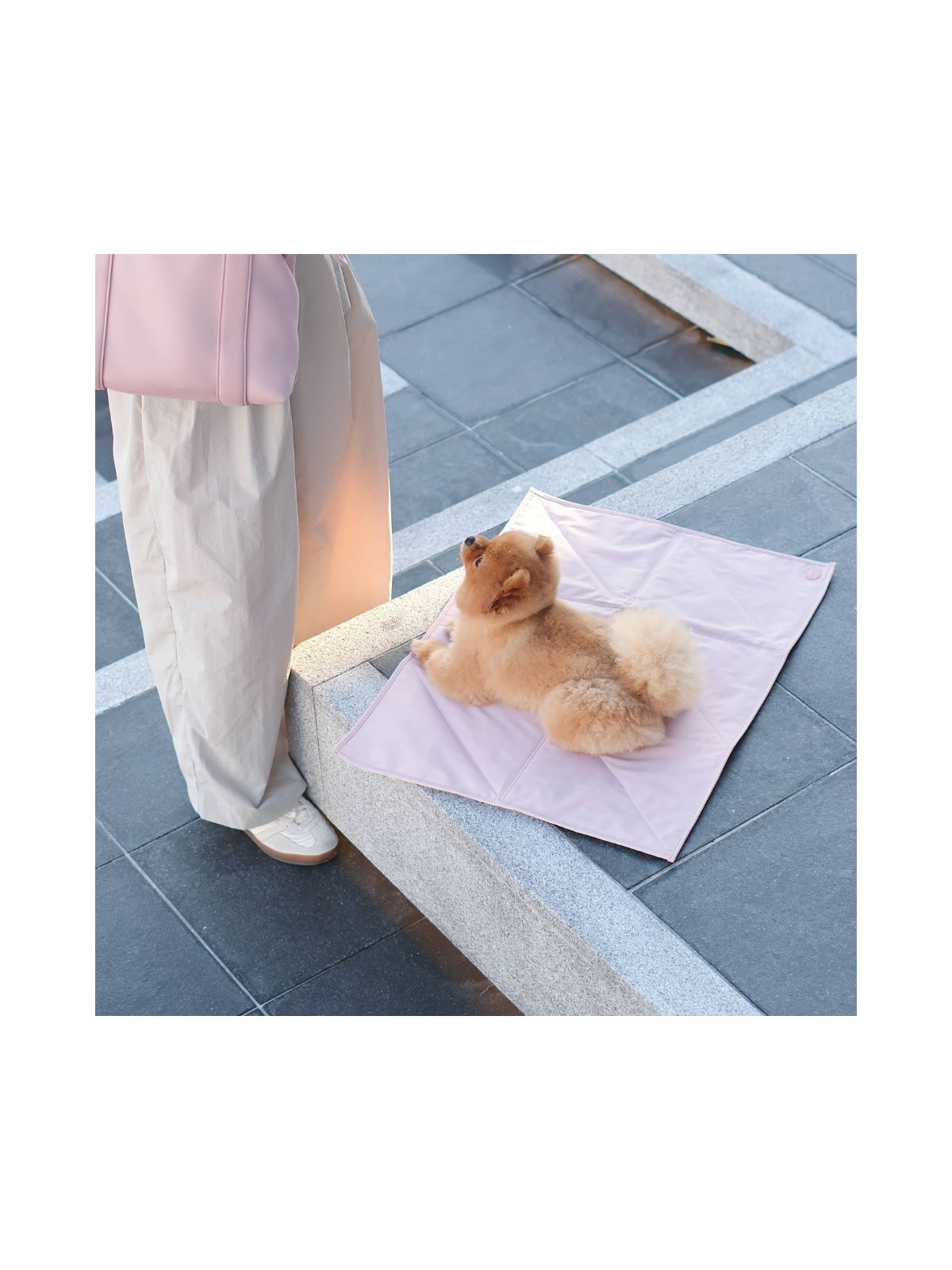Jouir Pet Travel Mat – Rose