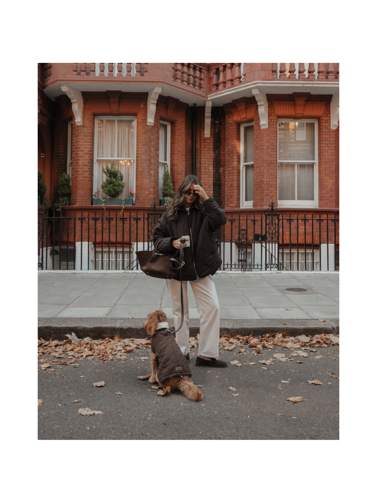 The Capsule Quilted Dog Coat – Chocolate