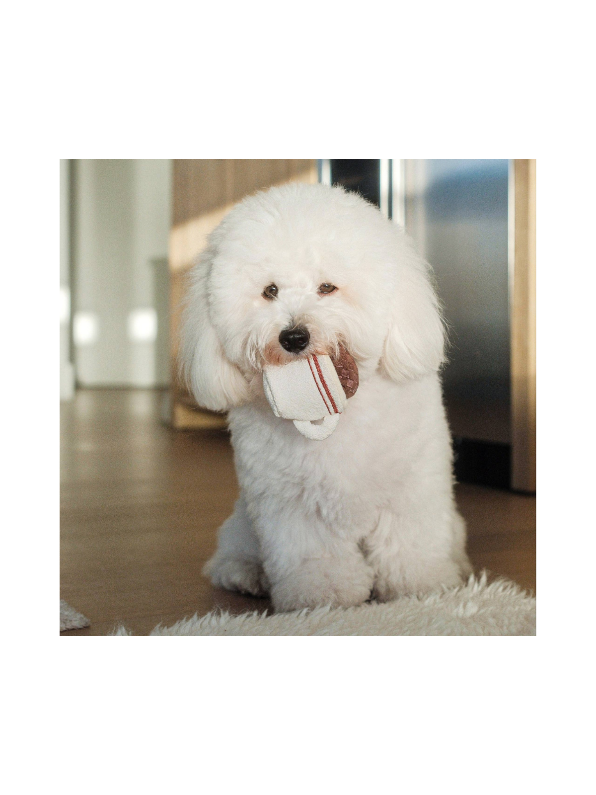 Espresso POP Enrichment Toy