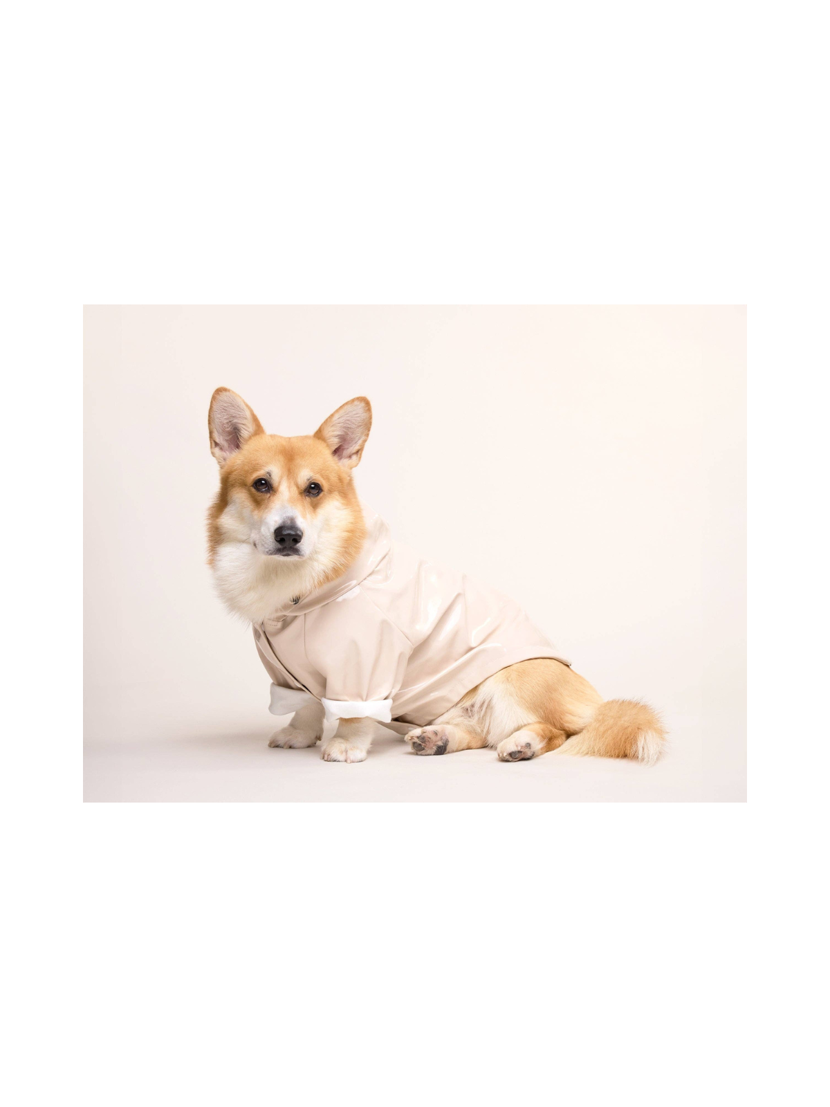 Cream Dog Raincoat