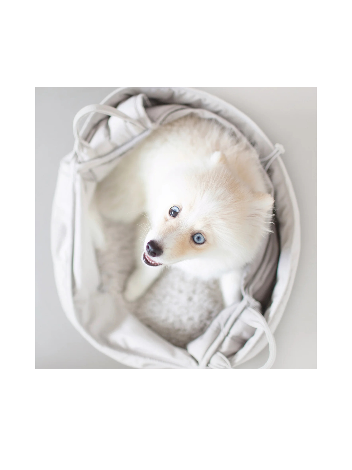 OLLA Petite Pet Carrycot – Koala