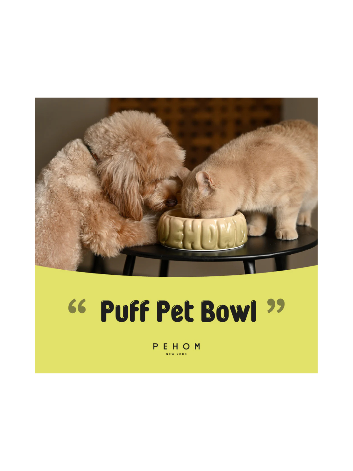 Puff Pet Bowl - Gradient Olive