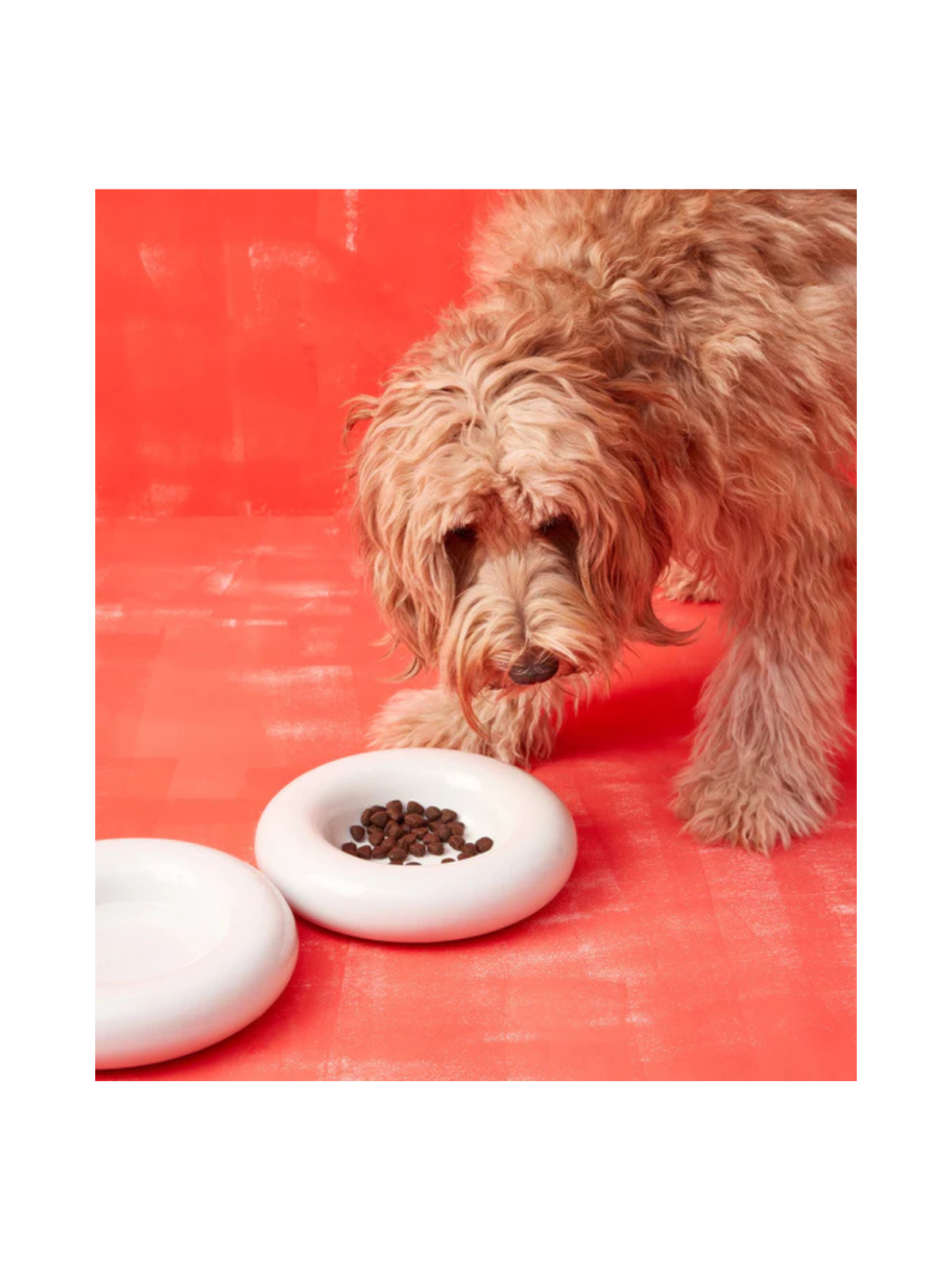 Ceramic Dog Bowl – White