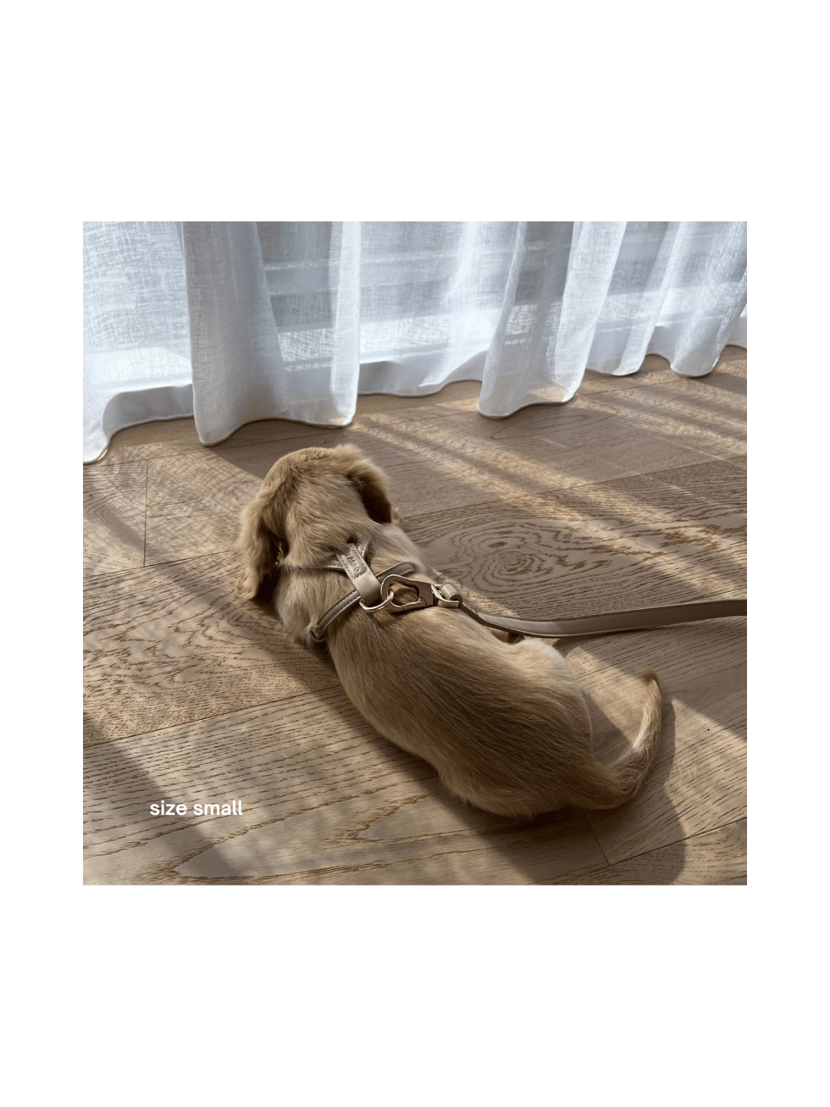 Harness – Cream