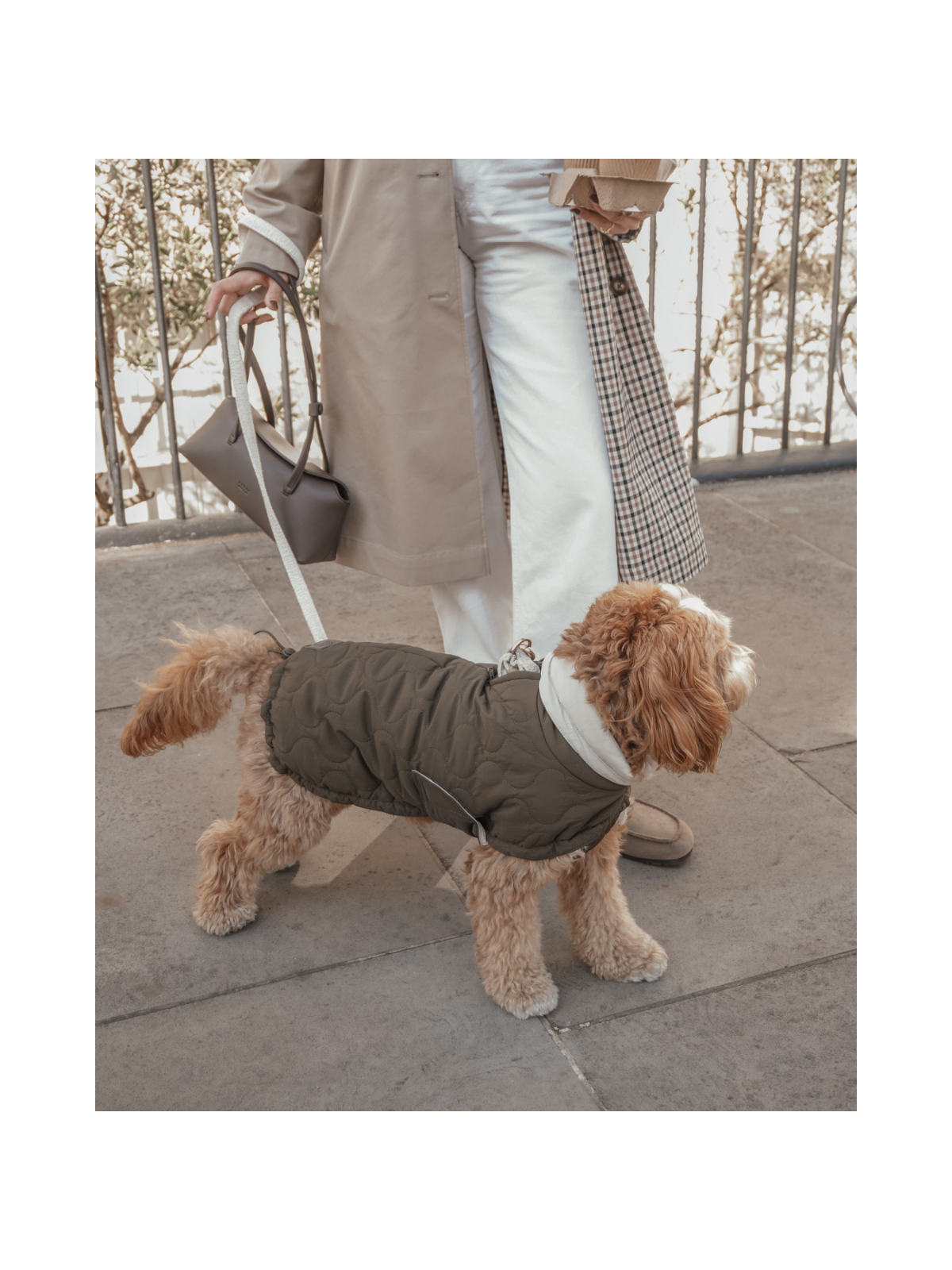 The Capsule Quilted Dog Coat – Forest Green