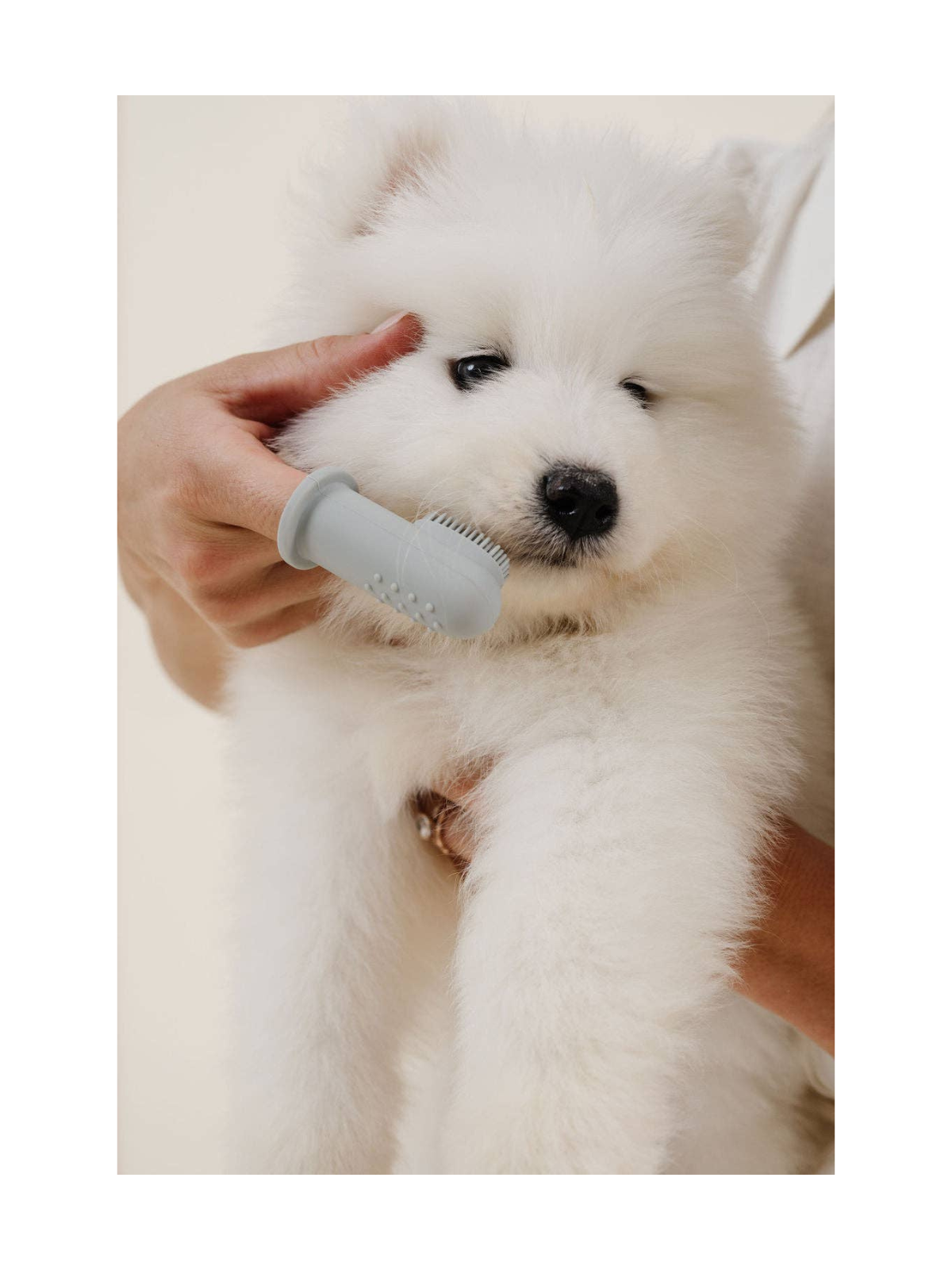 Puppy Breath Toothbrush – Rose