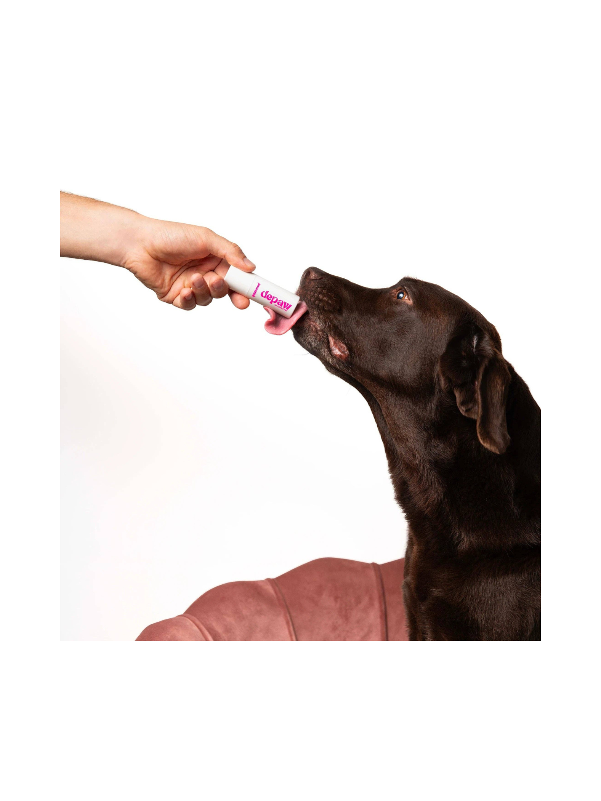 Pawstick – Moisturising Nose & Paw Balm