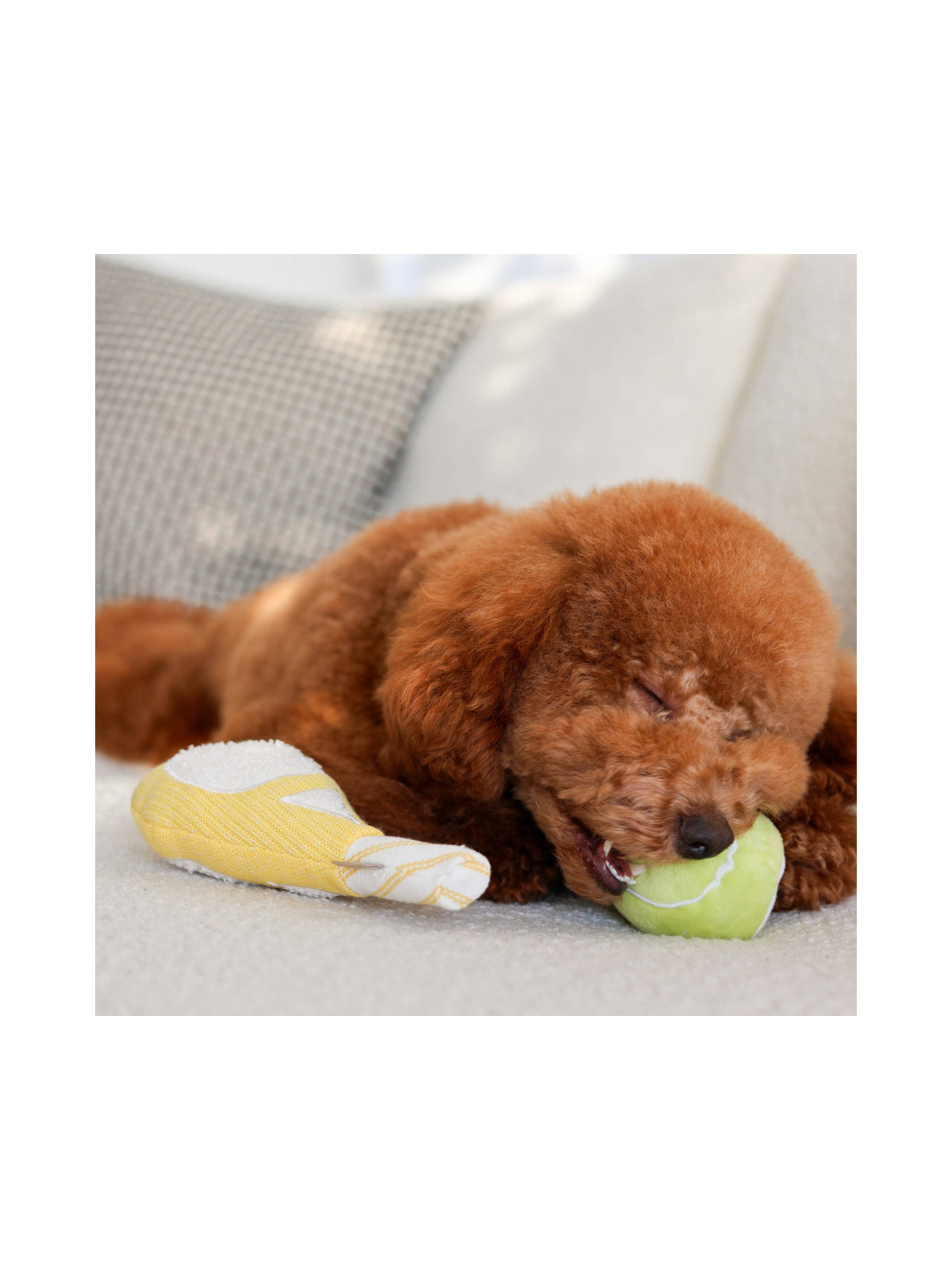 Tennis POP Enrichment Dog Toy