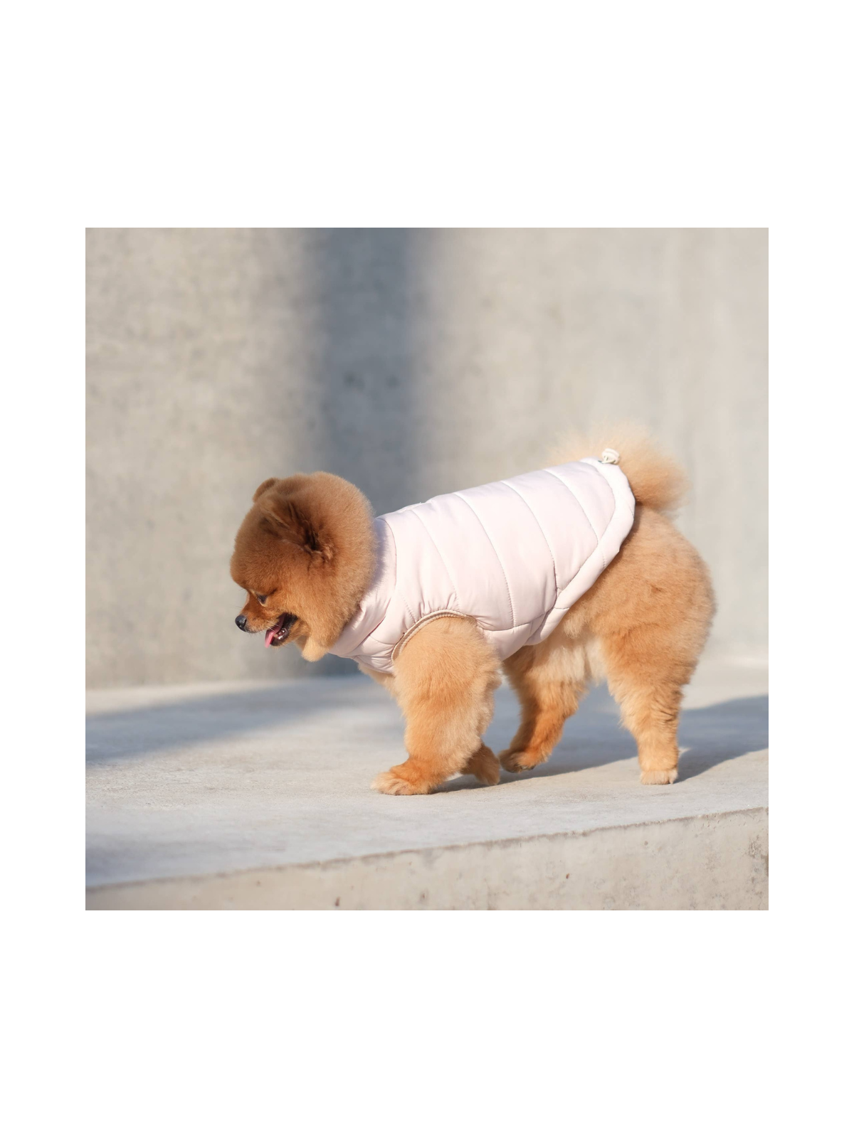 Explorer Puffer Vest – Dunes