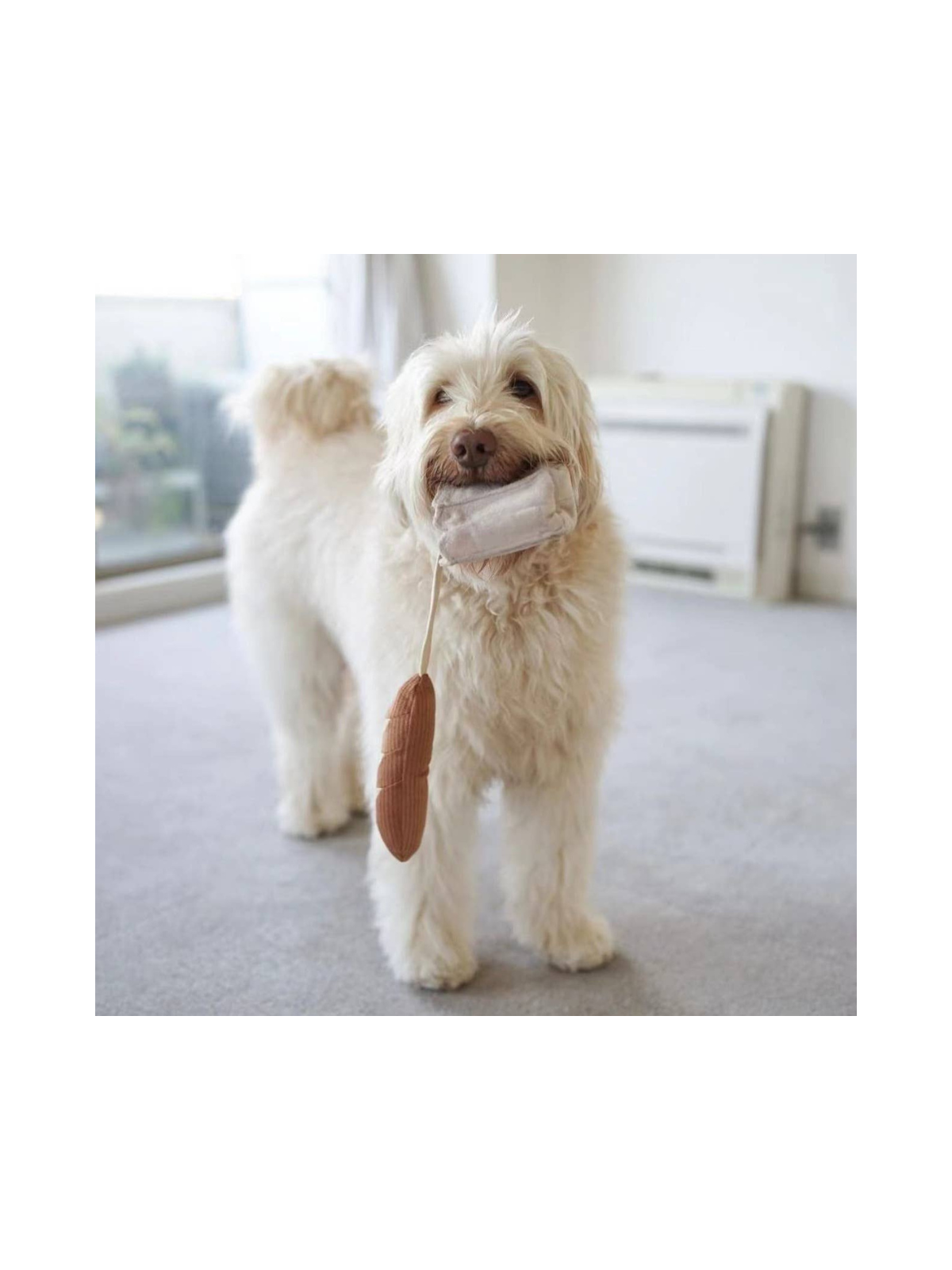Mini Baguette Enrichment Toy