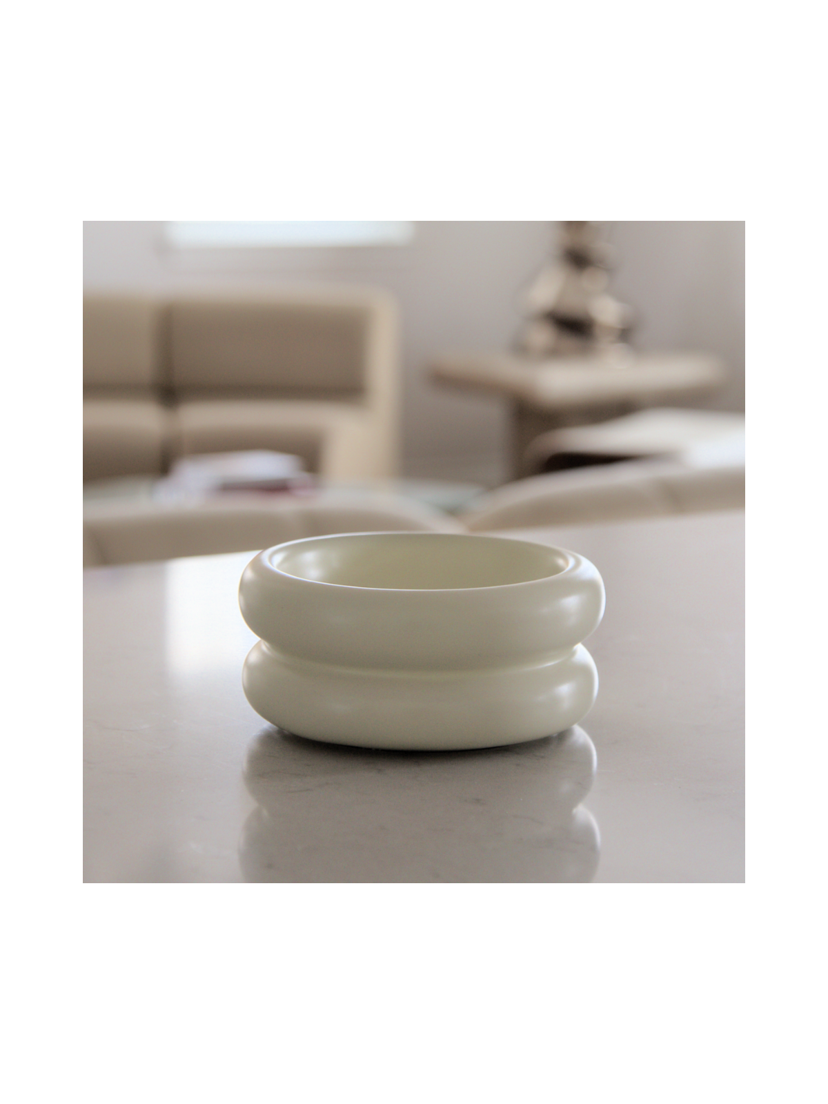 Elevated Halo Pet Bowl