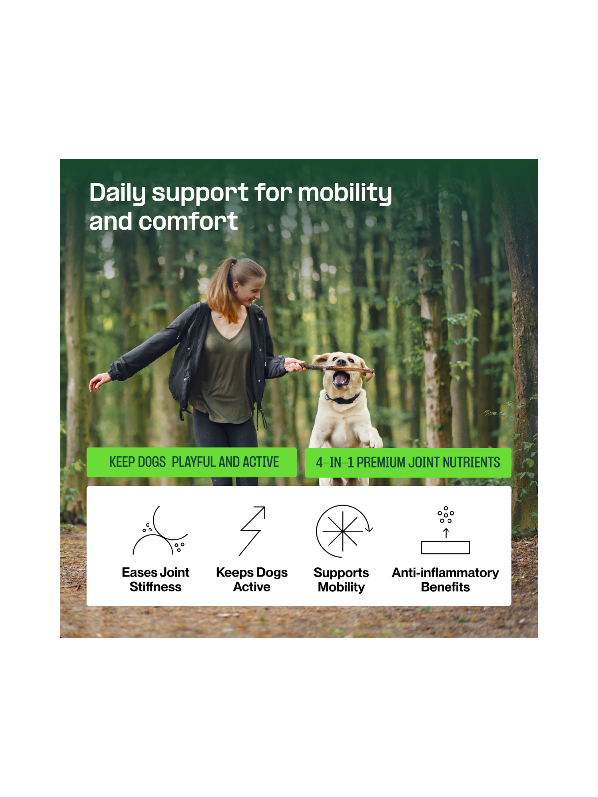 Active Hip & Joint Soft Chews