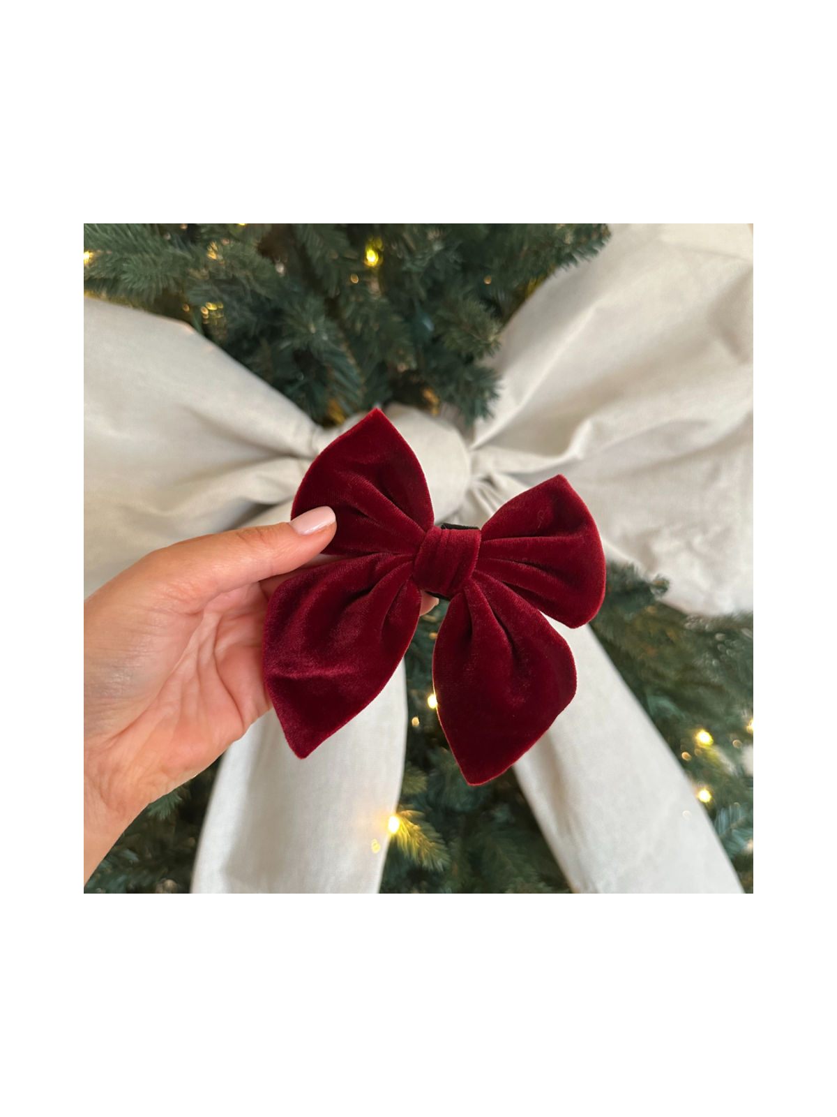 Luxe Velvet Sailor Dog Bow Tie - Berry Red