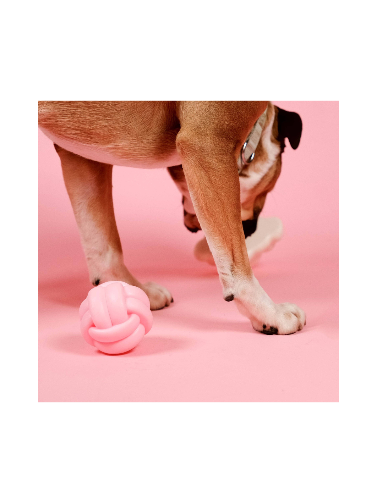 Knotball Squeaky Dog Toy
