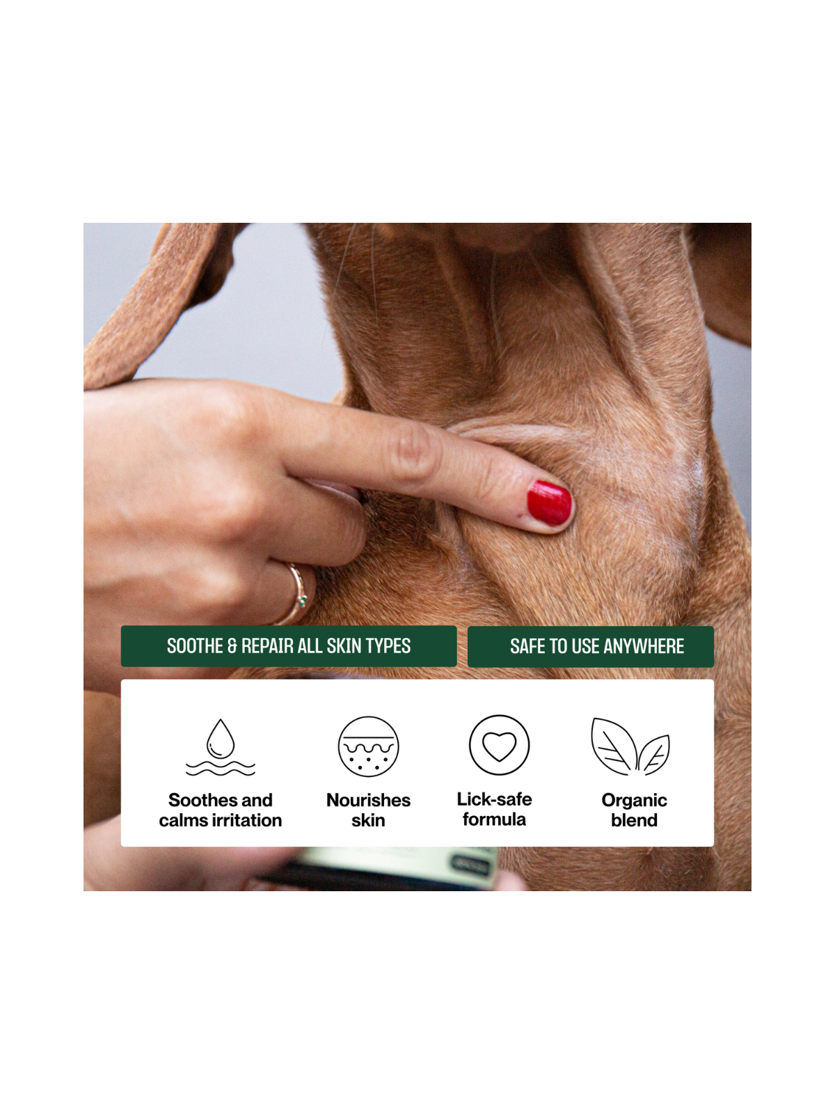 High Nutrition Dog Skin Balm