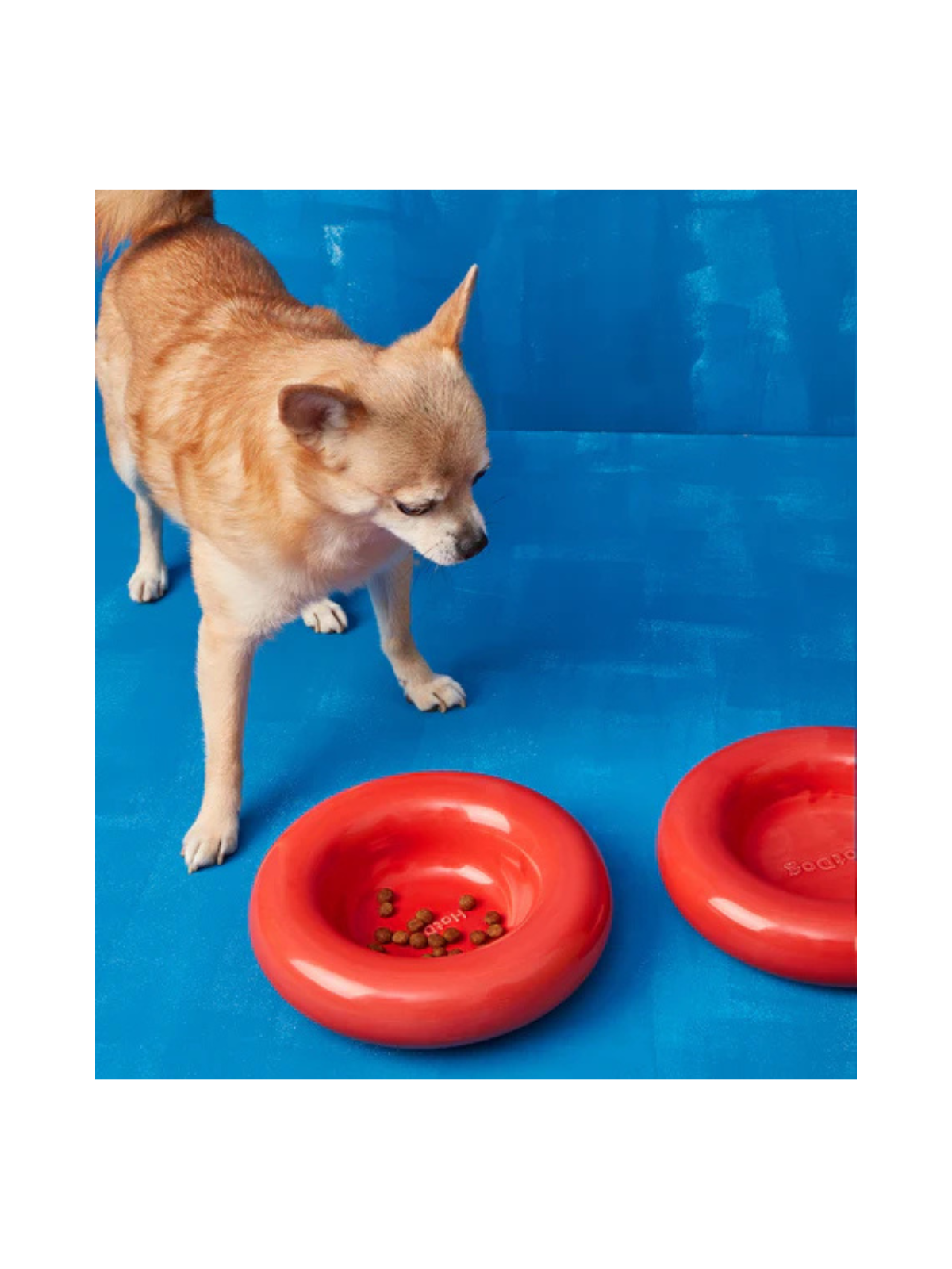 Ceramic Dog Bowl – Red