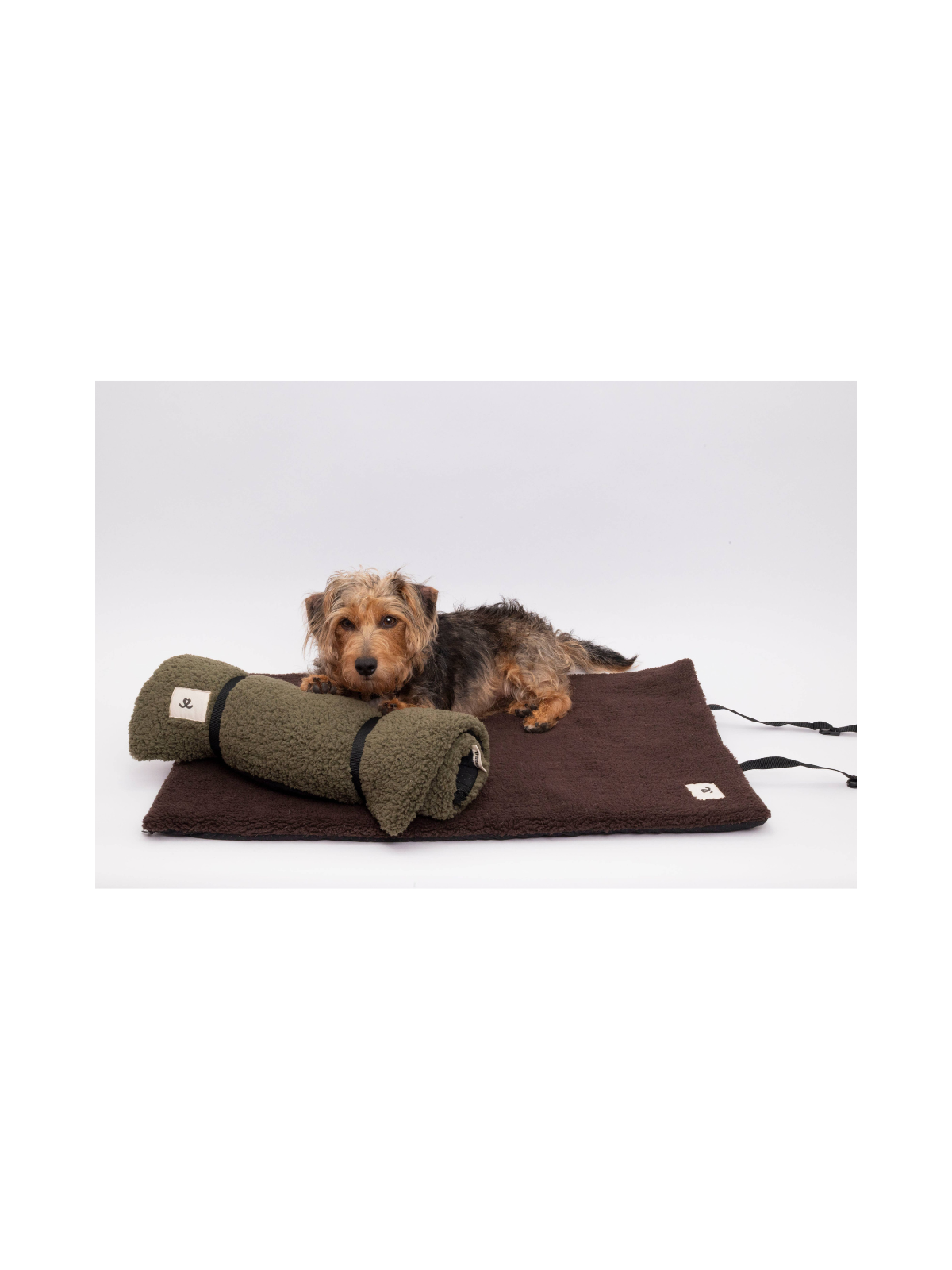 Teddy Travel Blanket – Chocolate