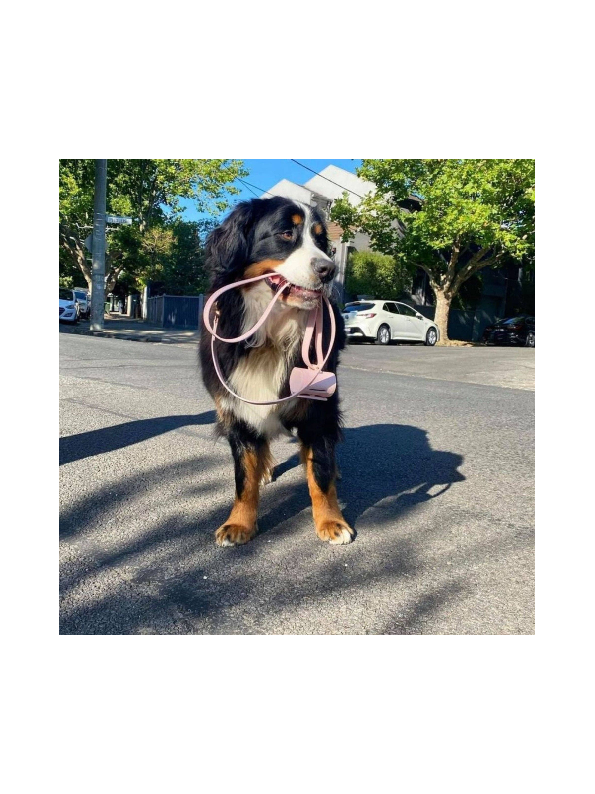 Poop Bag Holder – Marshmallow