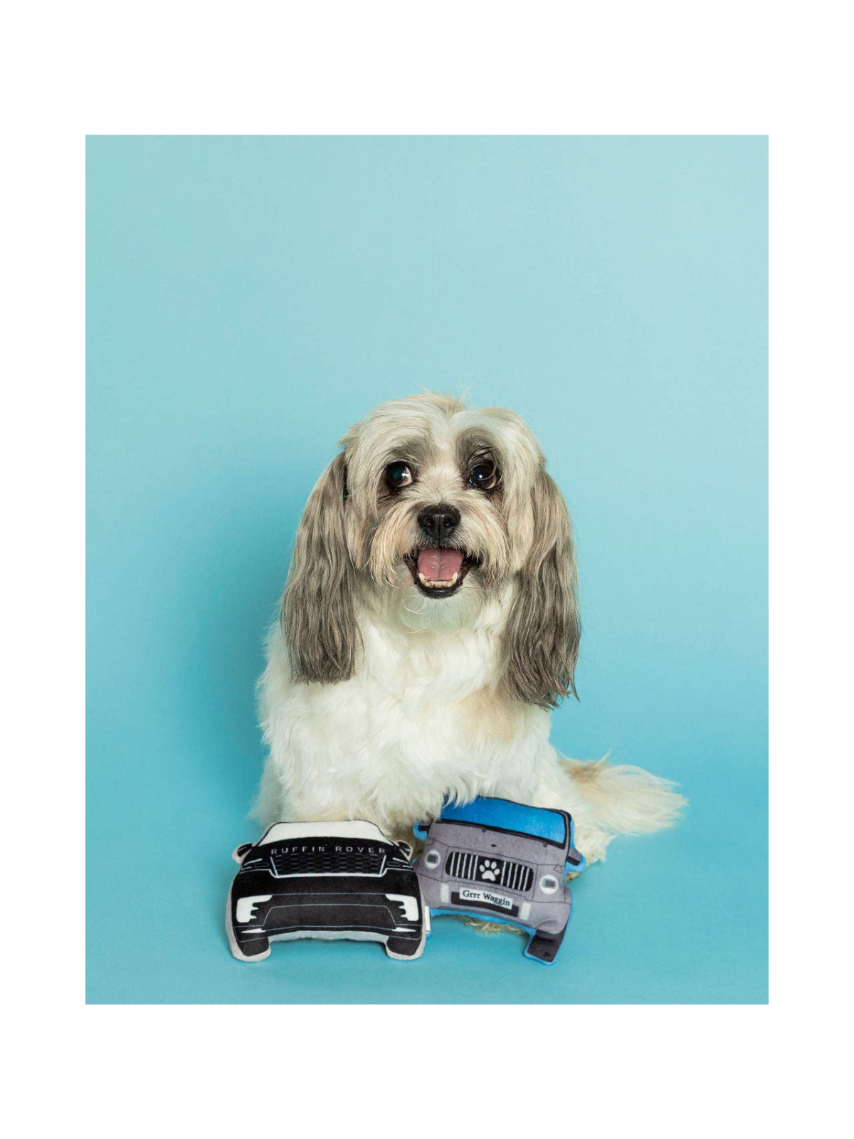 Ruffin Rover Dog Toy