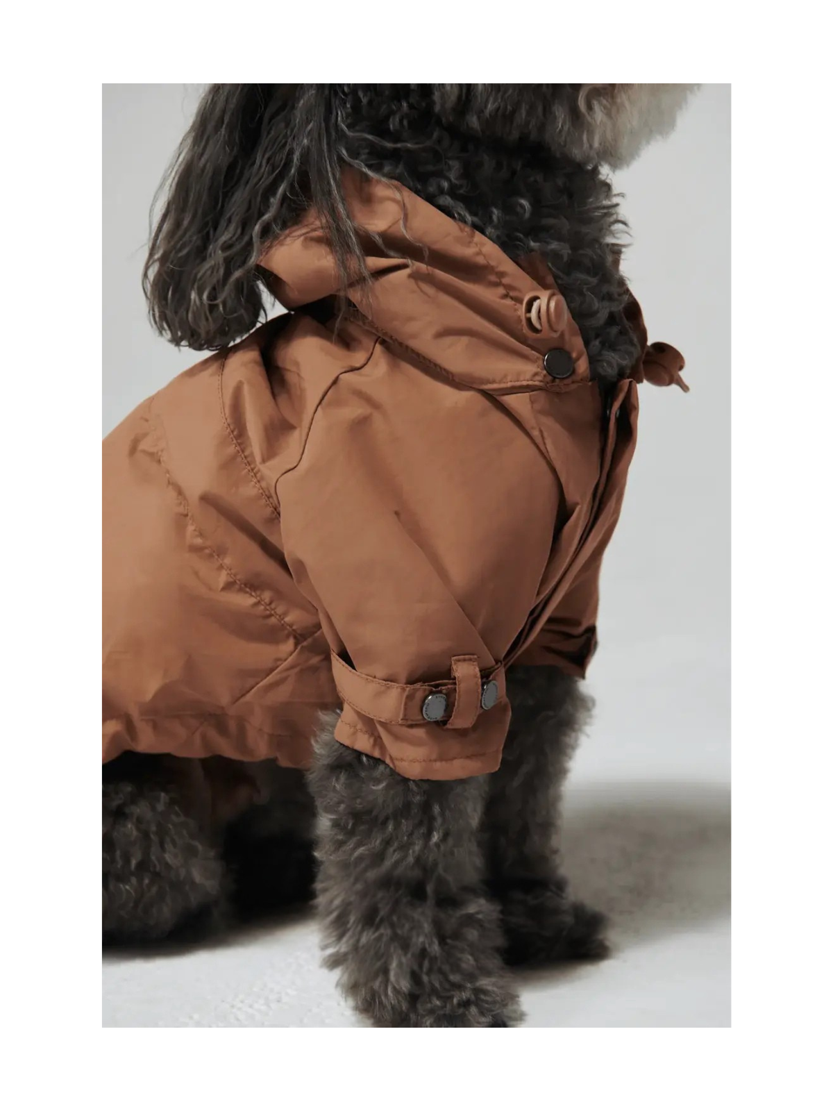 Talon Dog Raincoat