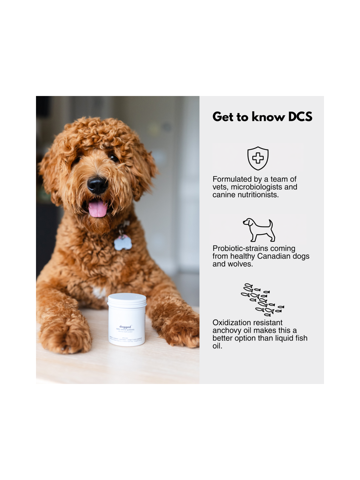 Daily Canine Synbiotic (DCS)