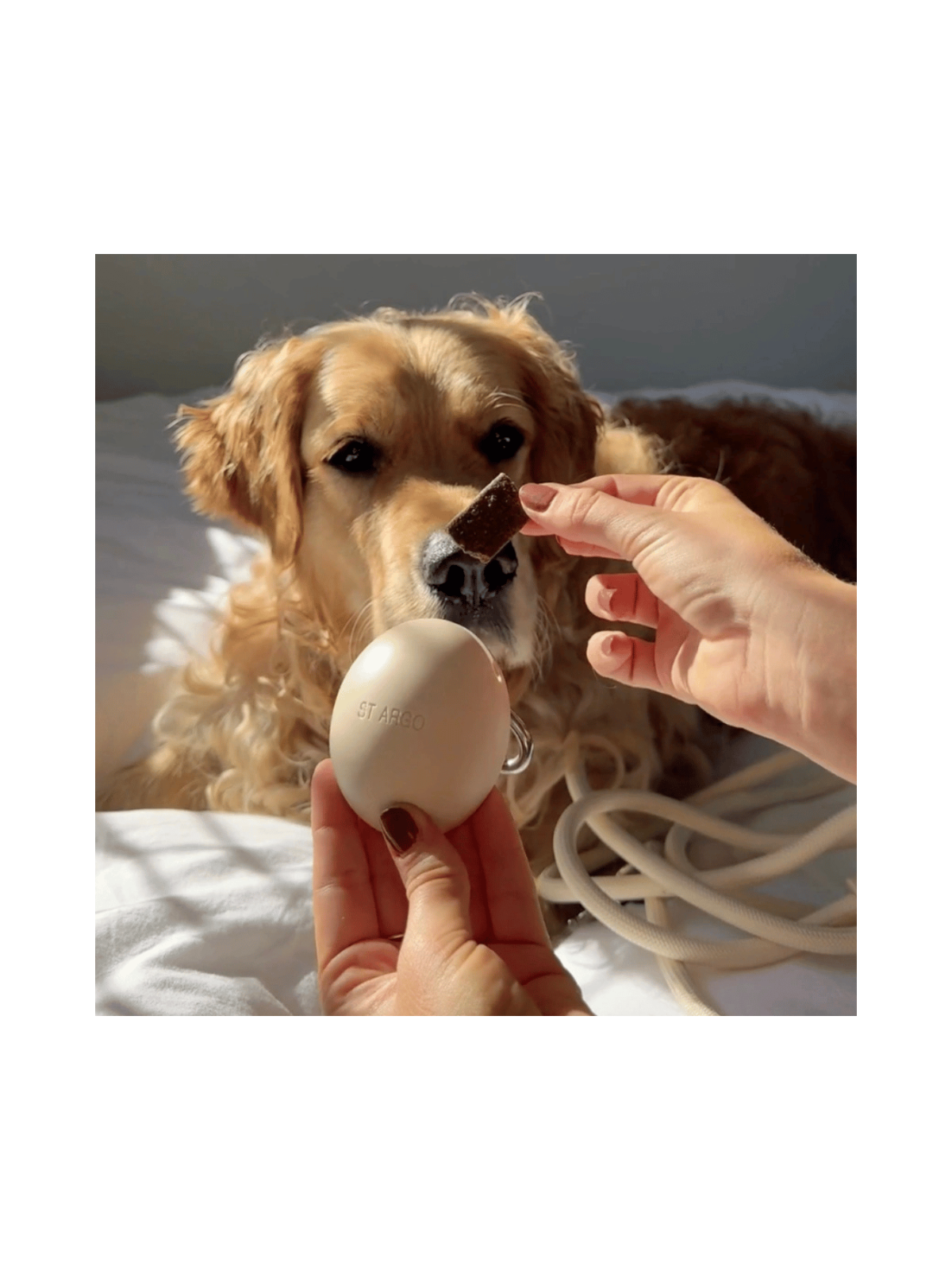 Treat Pouch – Cream