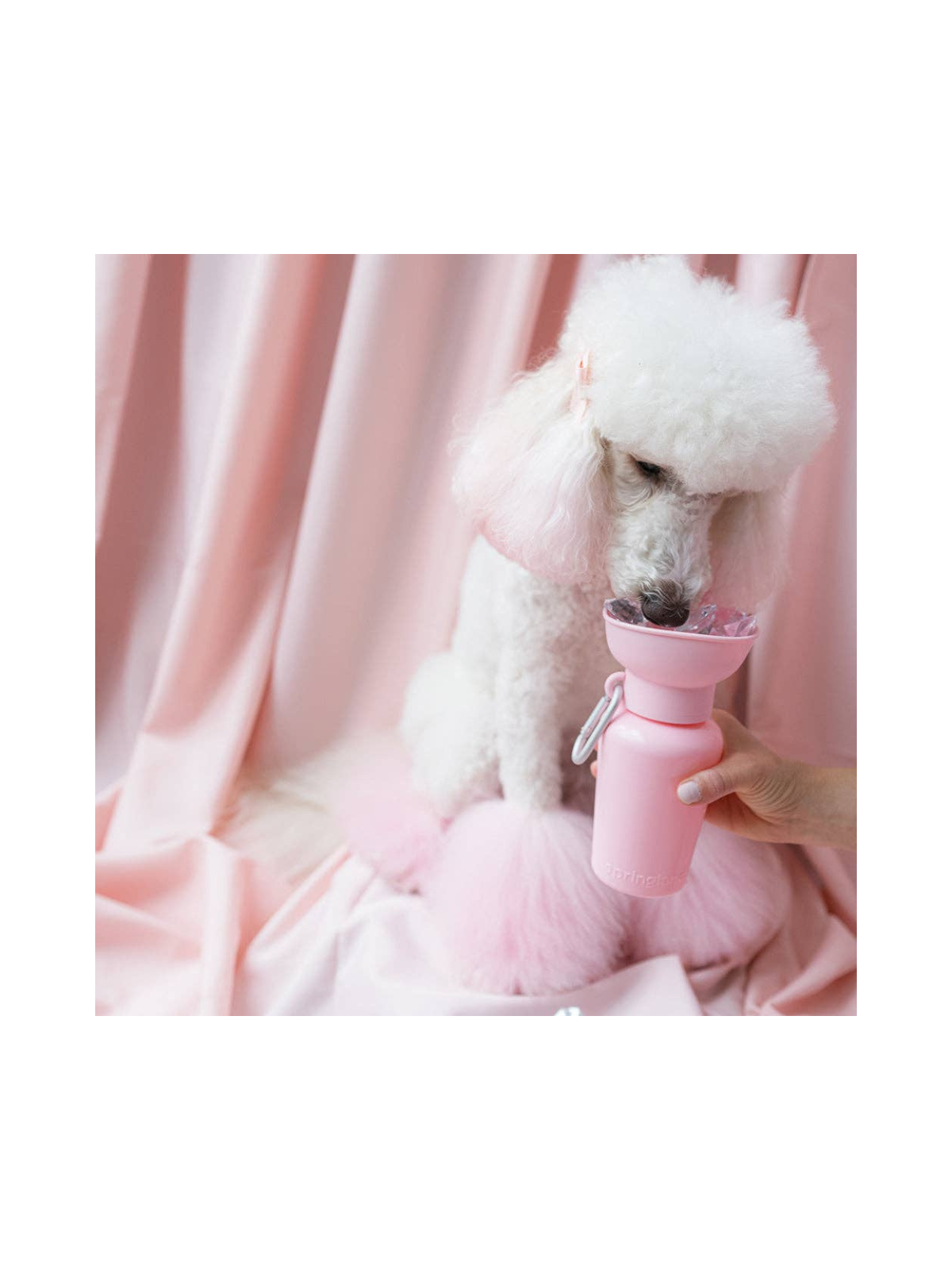 Treat Dispenser – Baby Pink